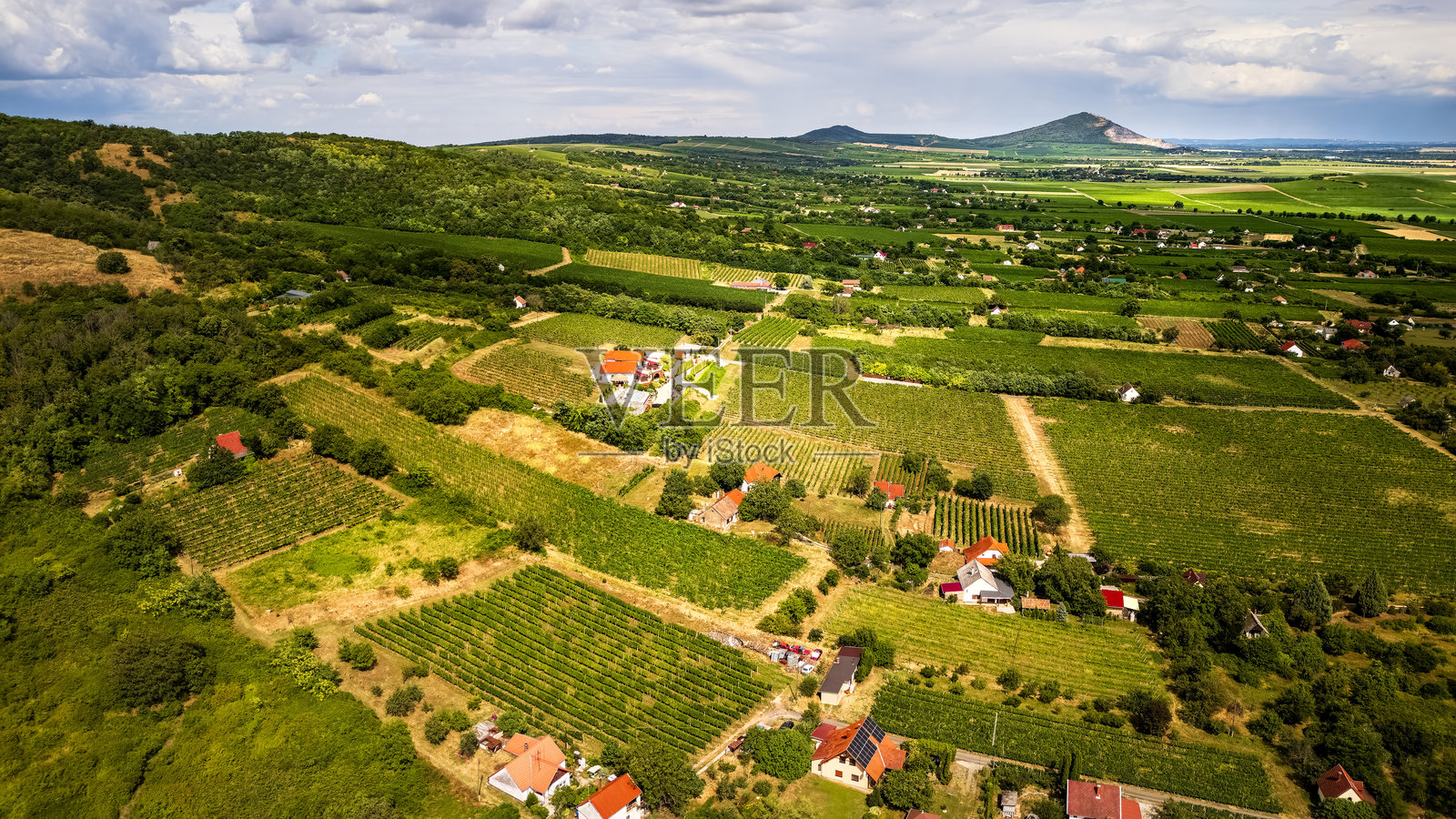 匈牙利维兰尼酒庄照片摄影图片