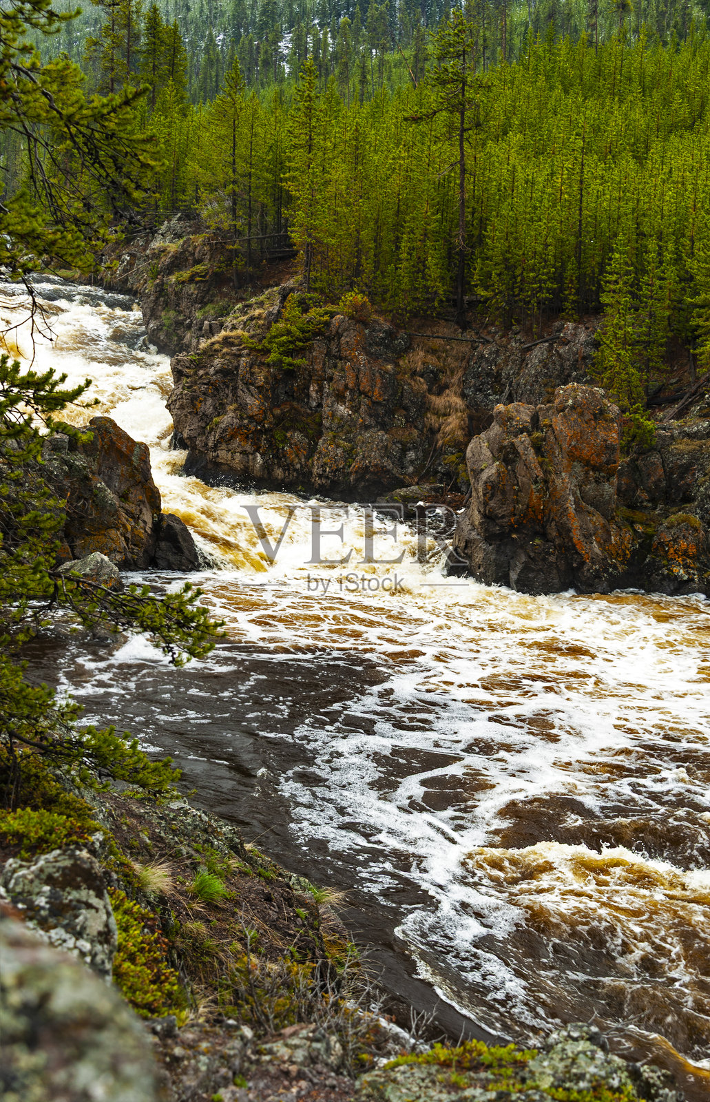 黄石国家公园照片摄影图片