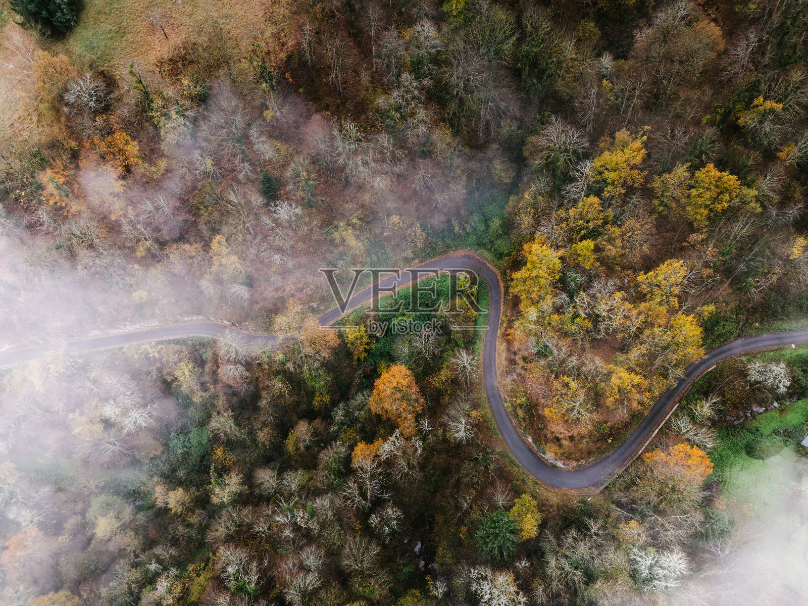 从上方俯瞰森林中蜿蜒的道路照片摄影图片