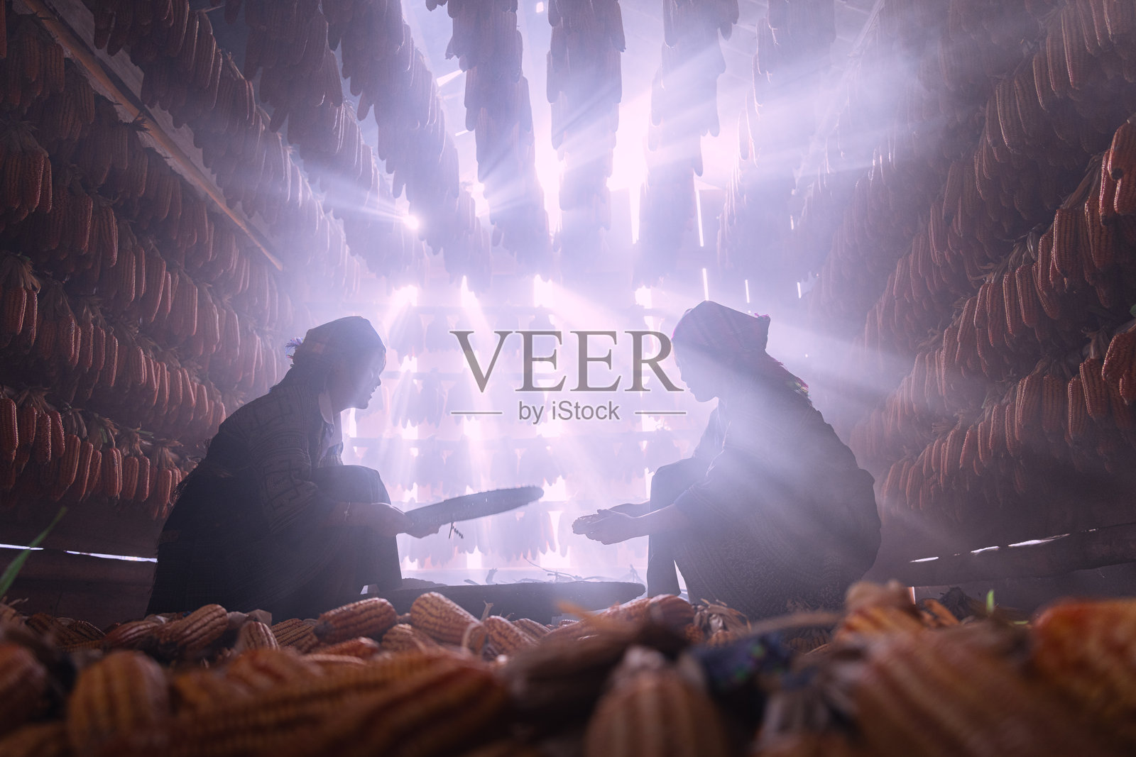 越南安沛省目江恰镇，苗族人民在秋日清晨收获玉米后，带着劳动的喜悦和满足的笑容。照片摄影图片