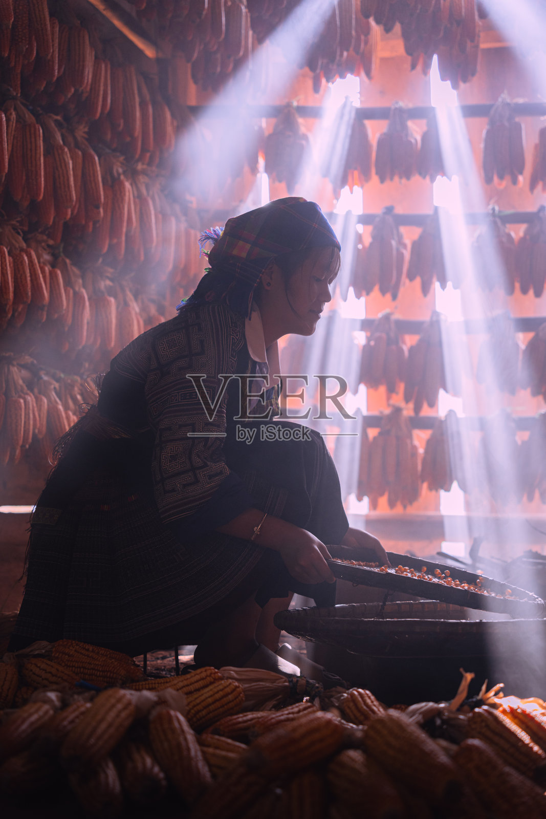 越南安沛省木江界镇，苗族人民在秋日清晨辛勤劳作，脸上洋溢着丰收玉米的喜悦和满足。照片摄影图片