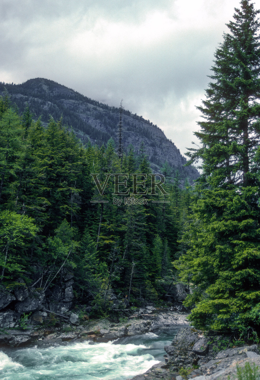 冰川国家公园 - 晴日山间小溪在“通往太阳之路”的垂直景观照片摄影图片