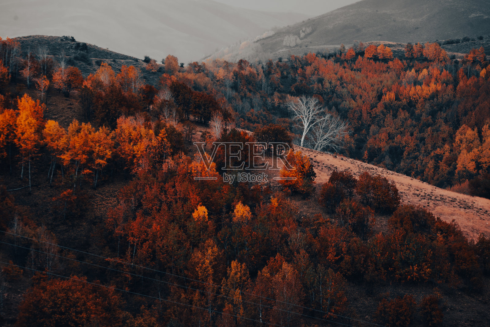 秋季城市桥梁自然风光图片照片摄影图片