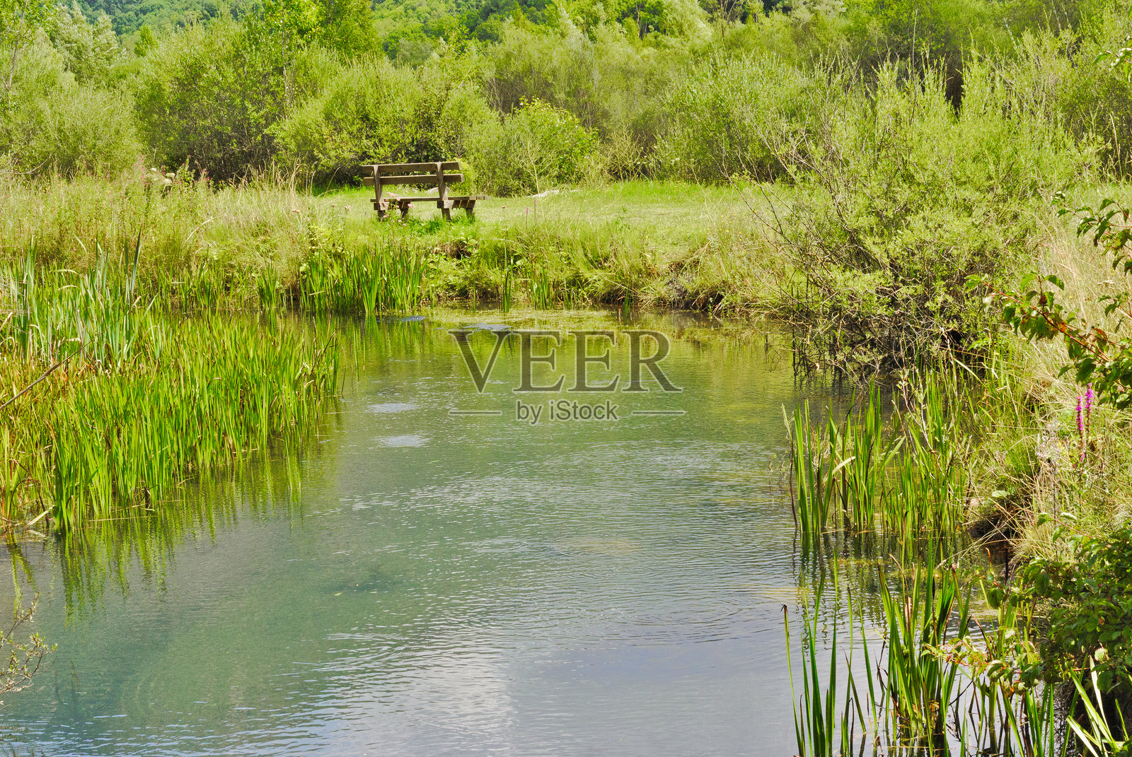 绿色草地上，池塘边有一张木制长椅照片摄影图片