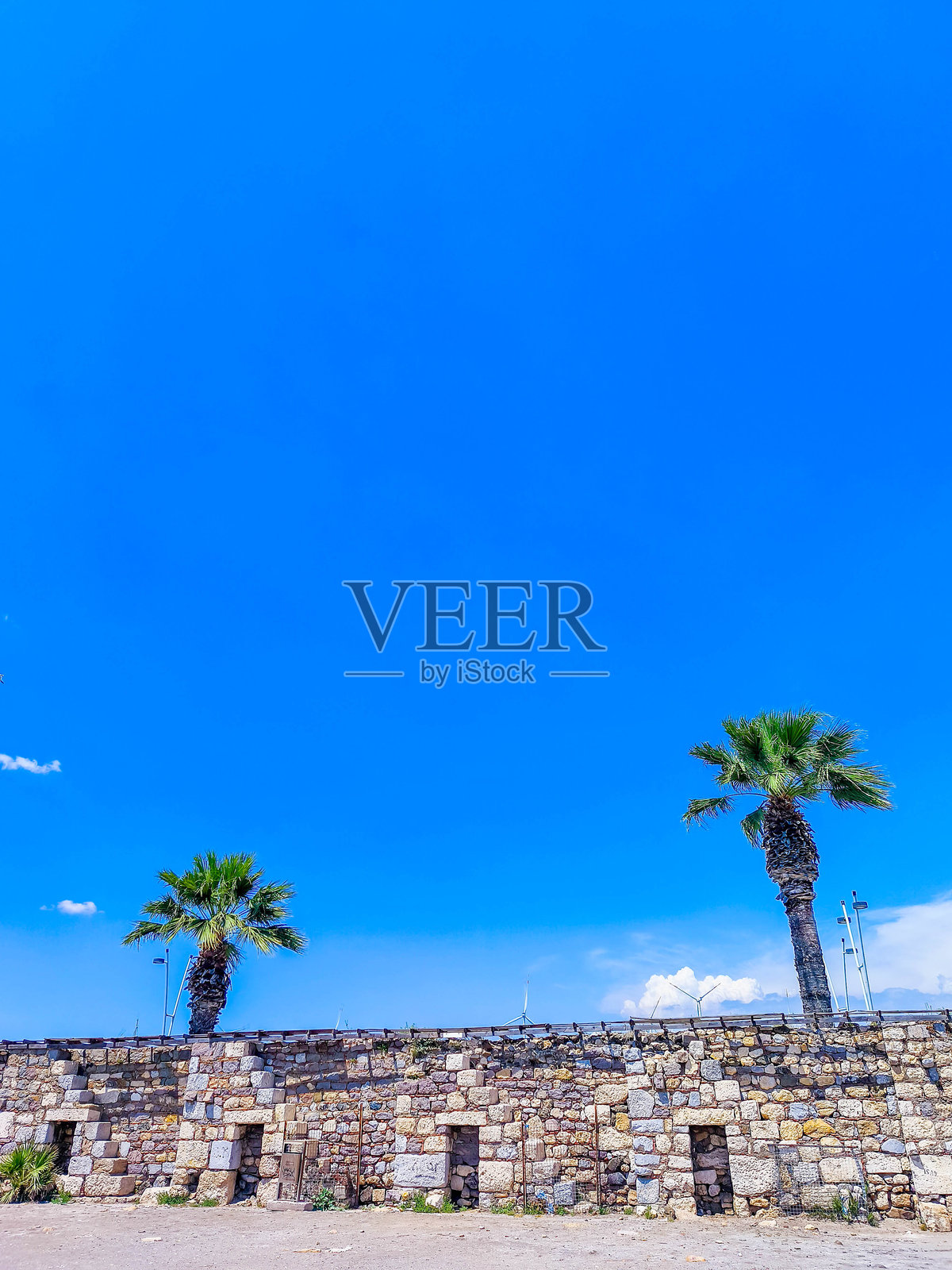 土耳其伊兹密尔塞费里希萨尔海滩的棕榈树与蓝天照片摄影图片