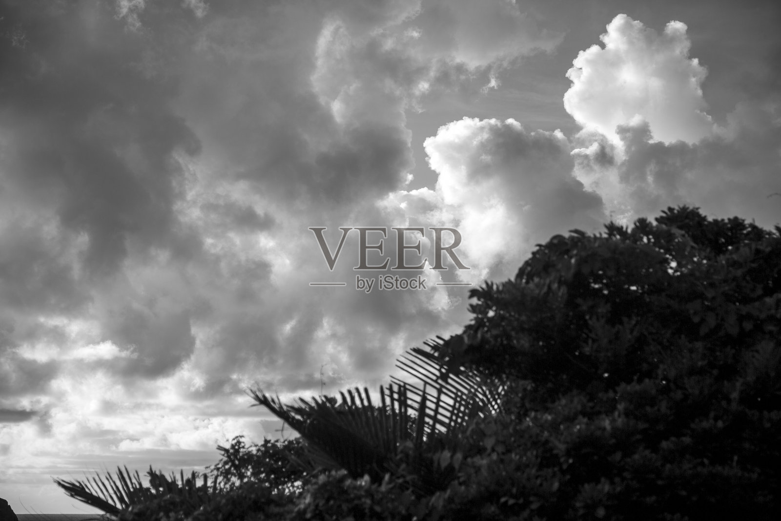 创意奄美大岛 日本自然 夏季云彩照片摄影图片