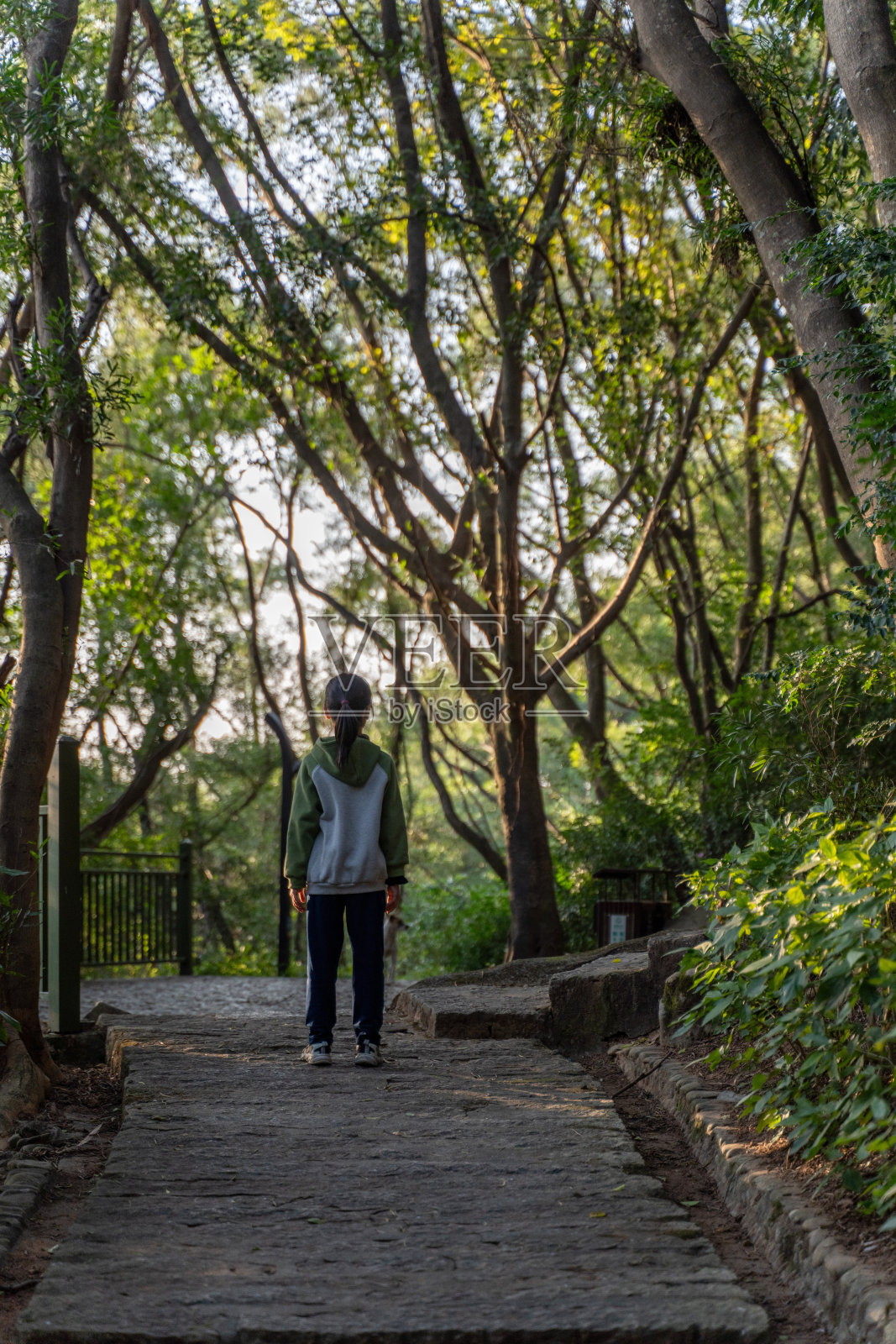 一个亚洲女孩正在公园的树林里散步。照片摄影图片