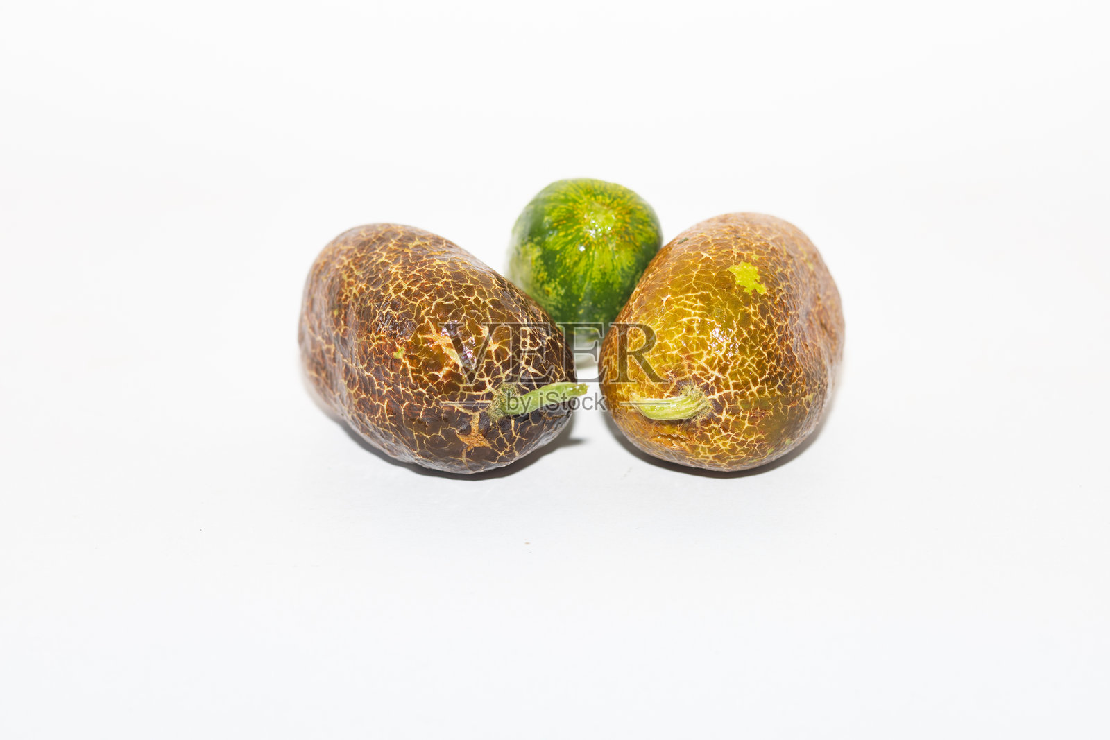 锡金黄瓜照片摄影图片