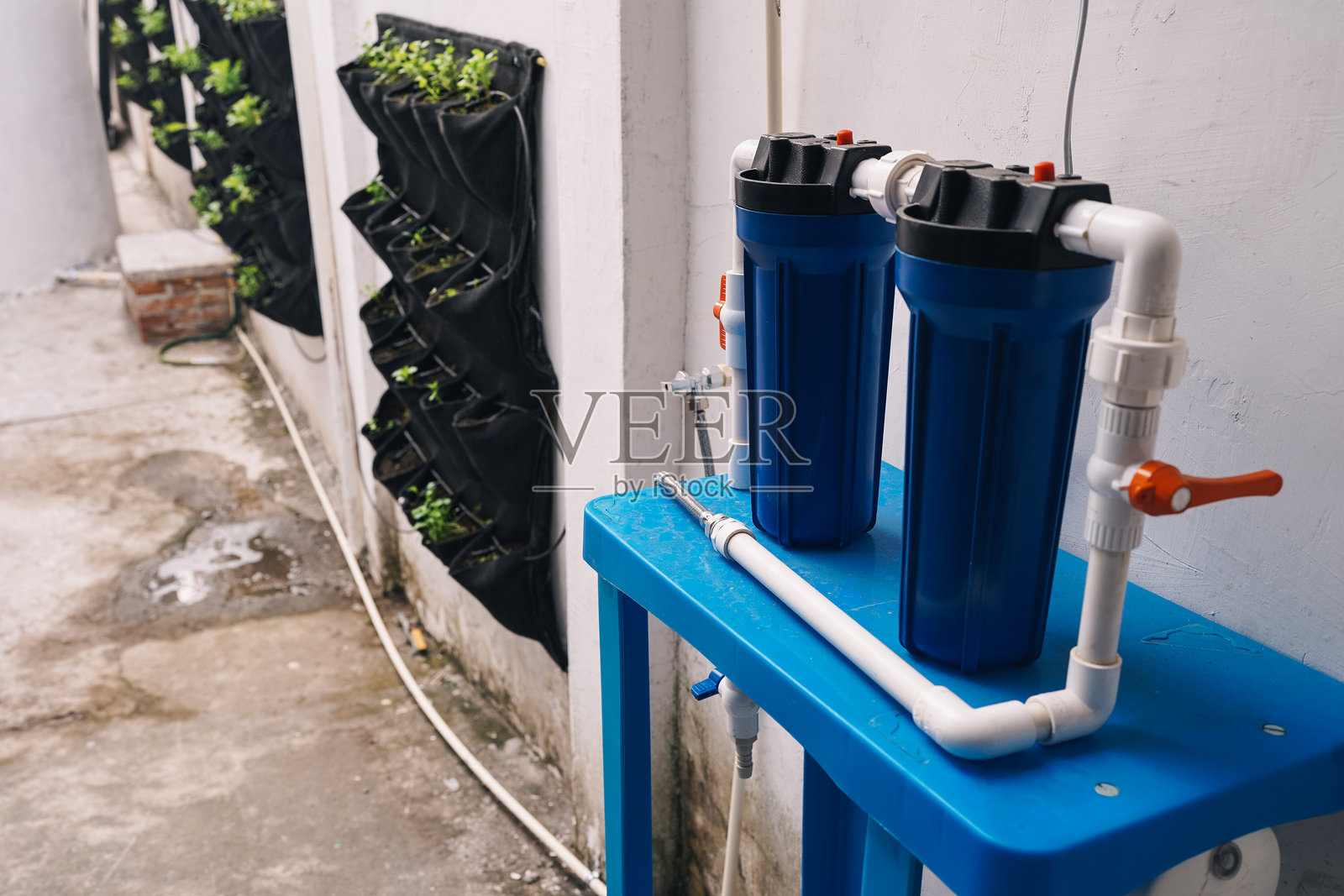 用于学校项目的带水过滤系统的垂直花园照片摄影图片