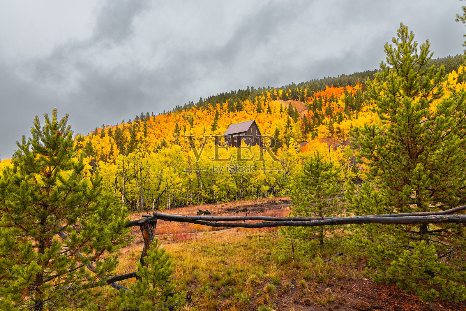 弗伦奇峡谷矿业小屋，四周绿叶金黄照片摄影图片