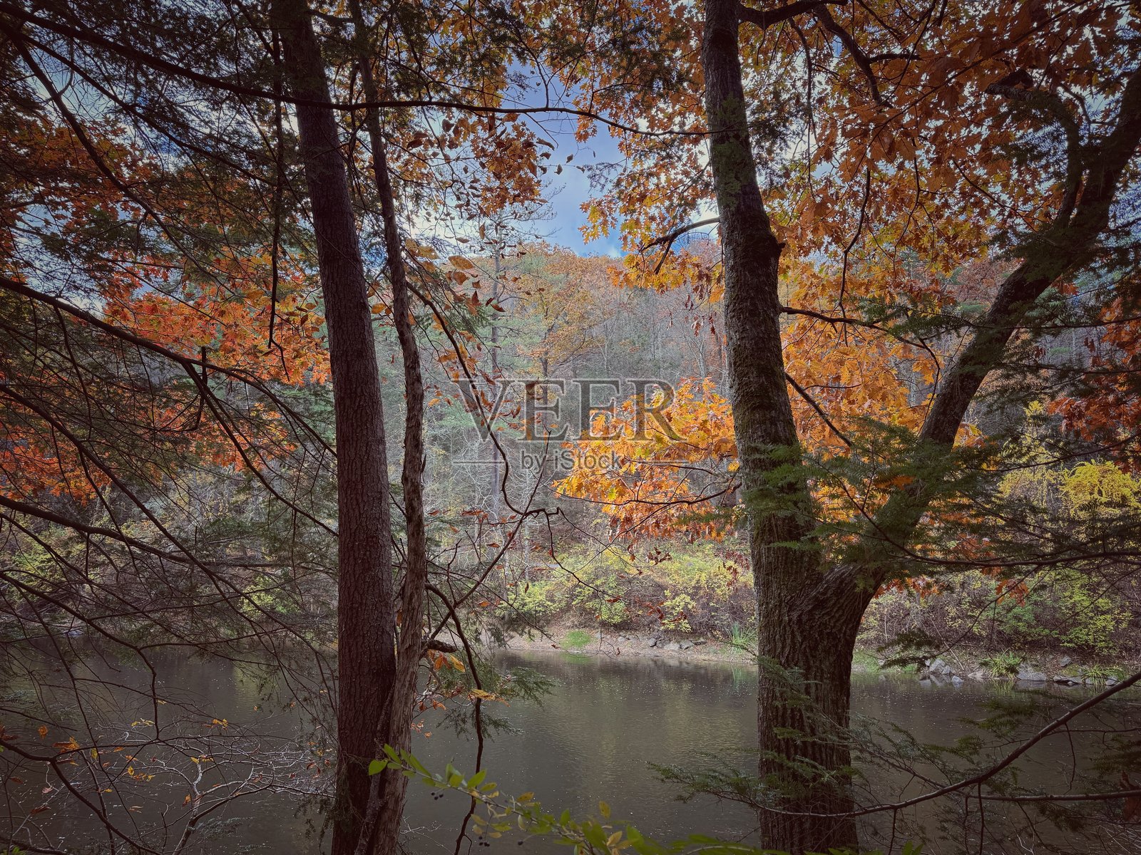 天然面料照片摄影图片