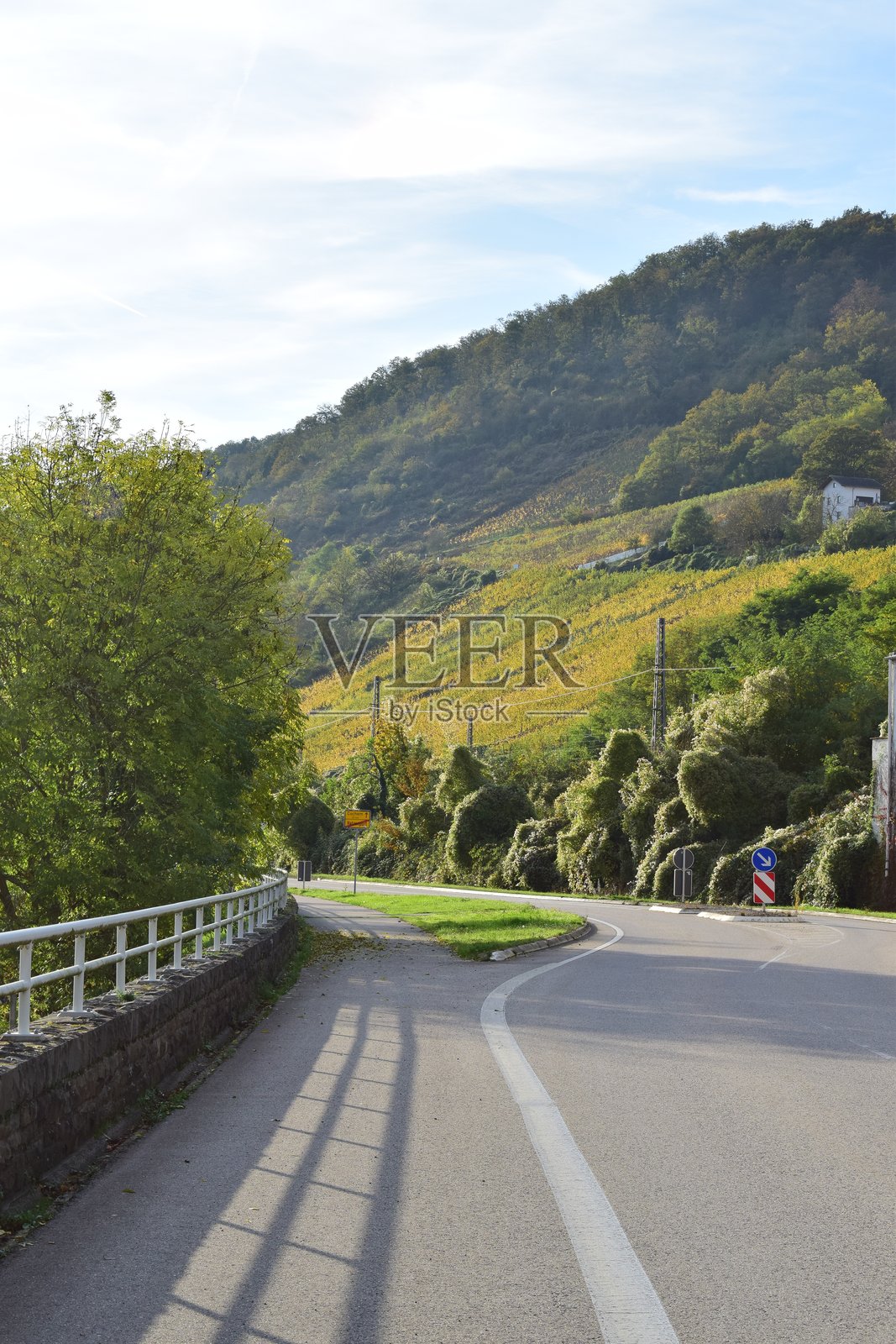 摩泽尔河谷葡萄园山丘公路照片摄影图片