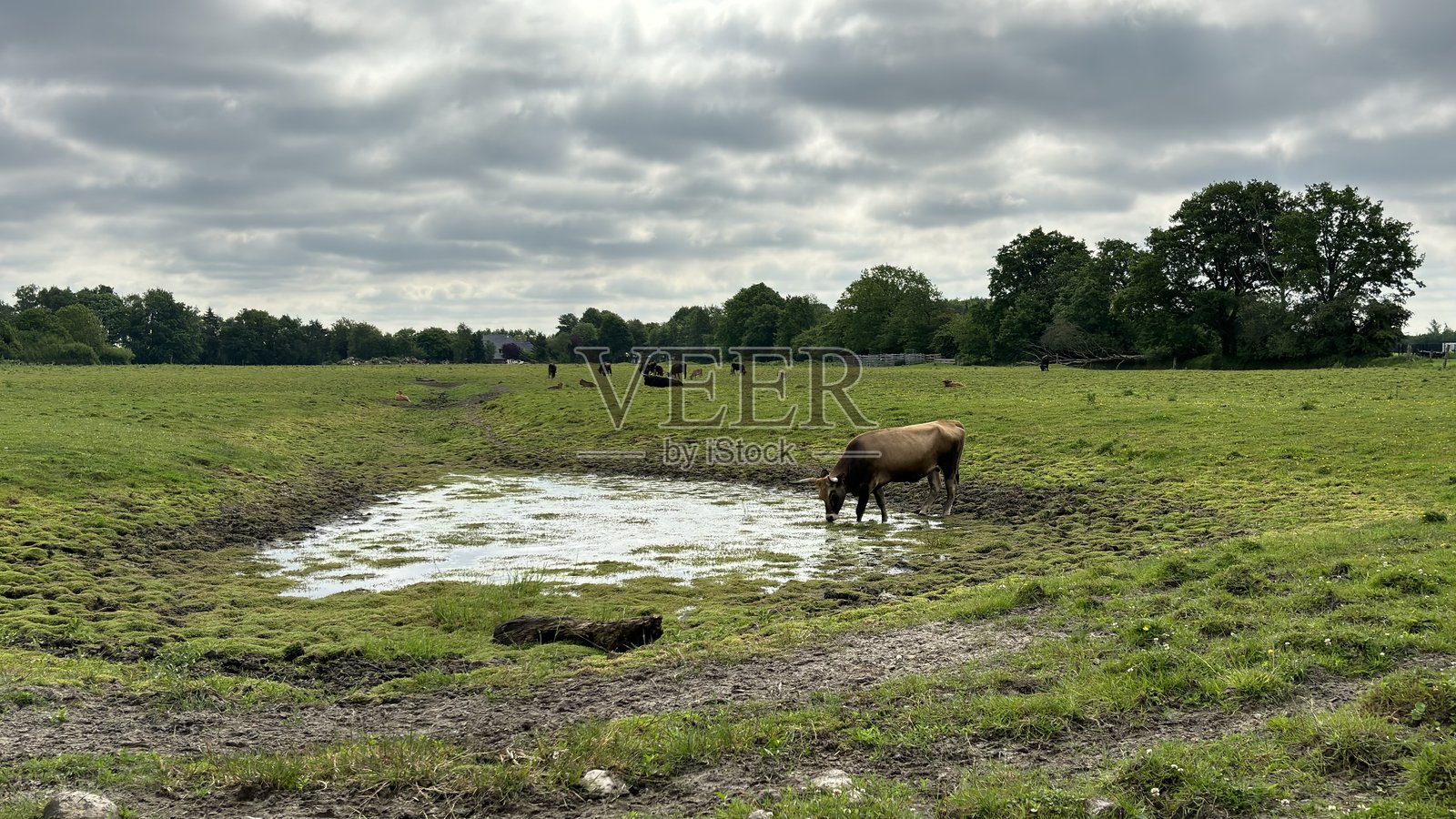 水源照片摄影图片
