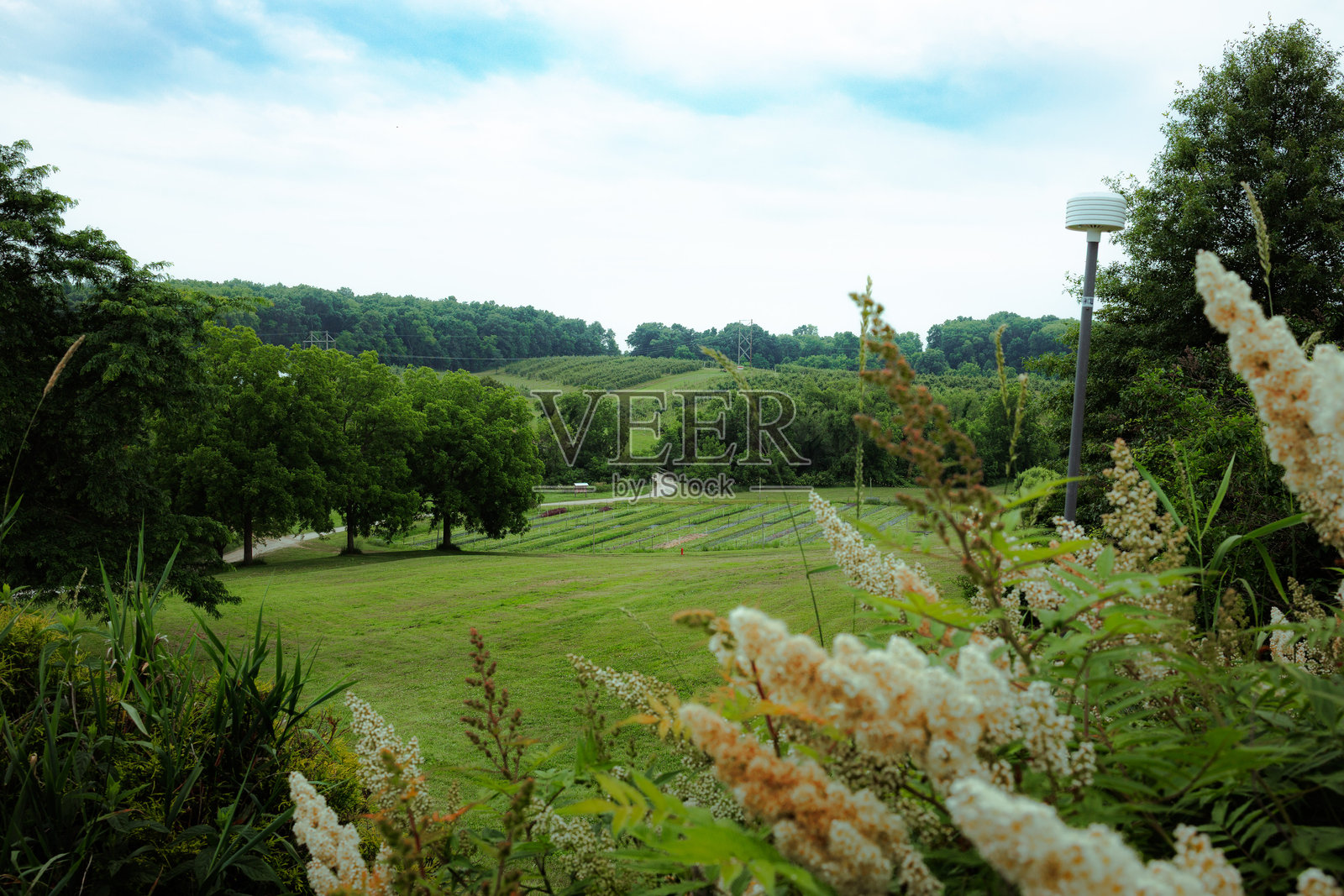 农场照片摄影图片