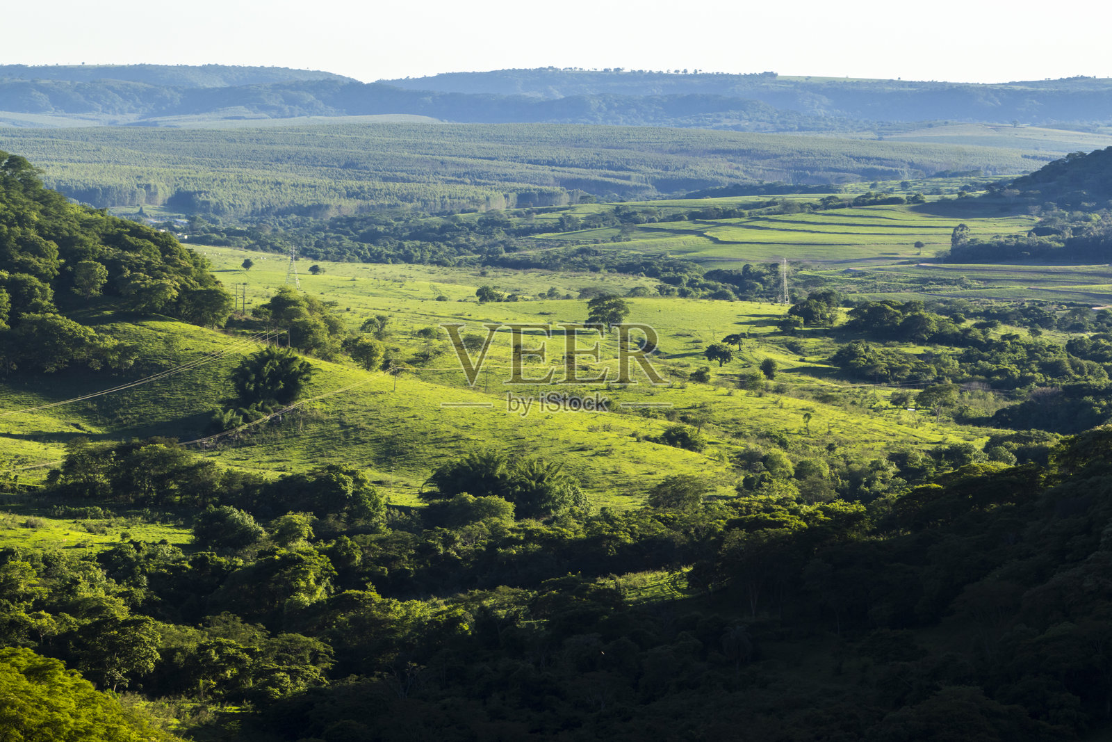 郁郁葱葱的山谷中壮观的悬崖地貌照片摄影图片
