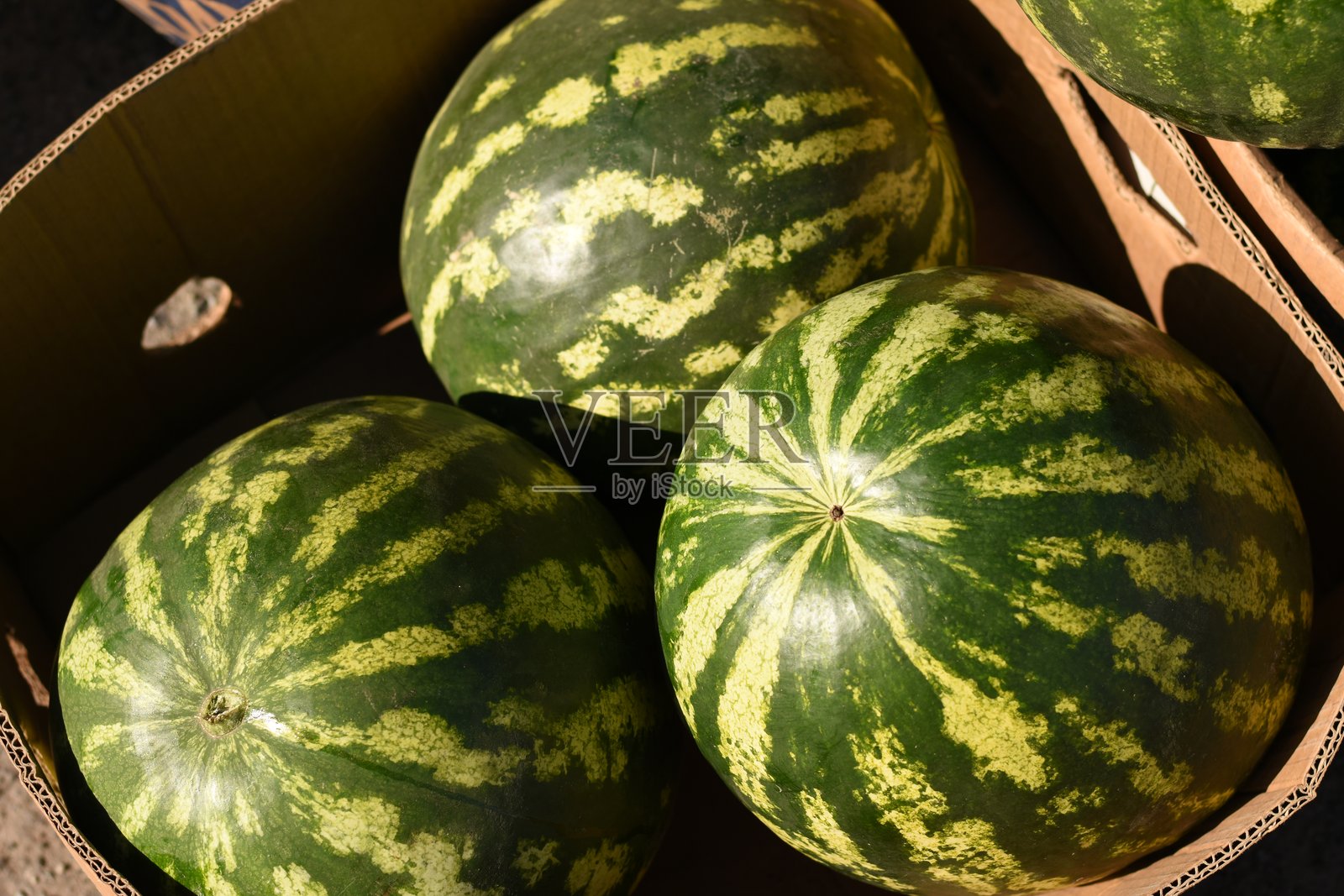 纸箱里的三个西瓜照片摄影图片