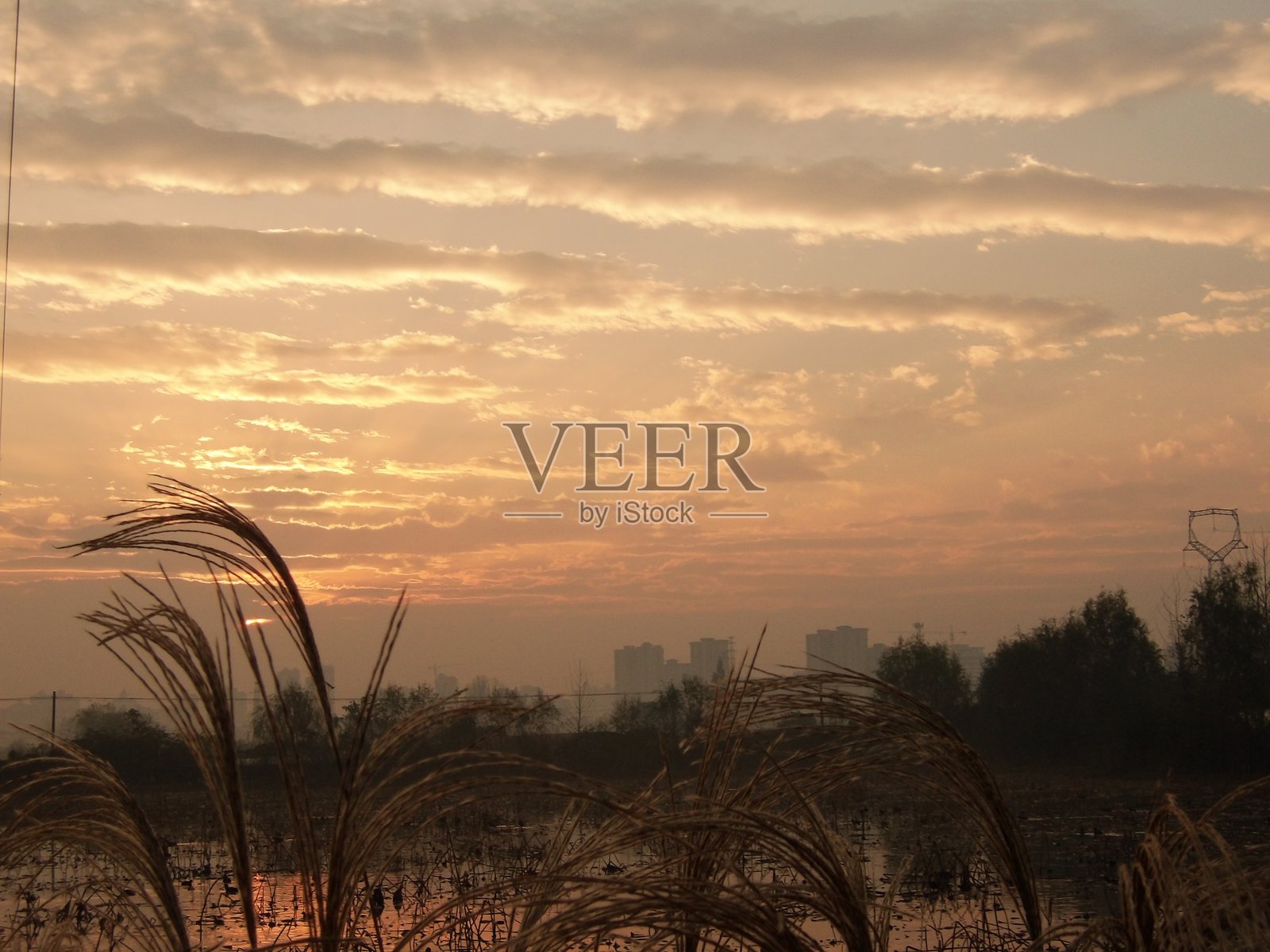 晨光下的农田照片摄影图片