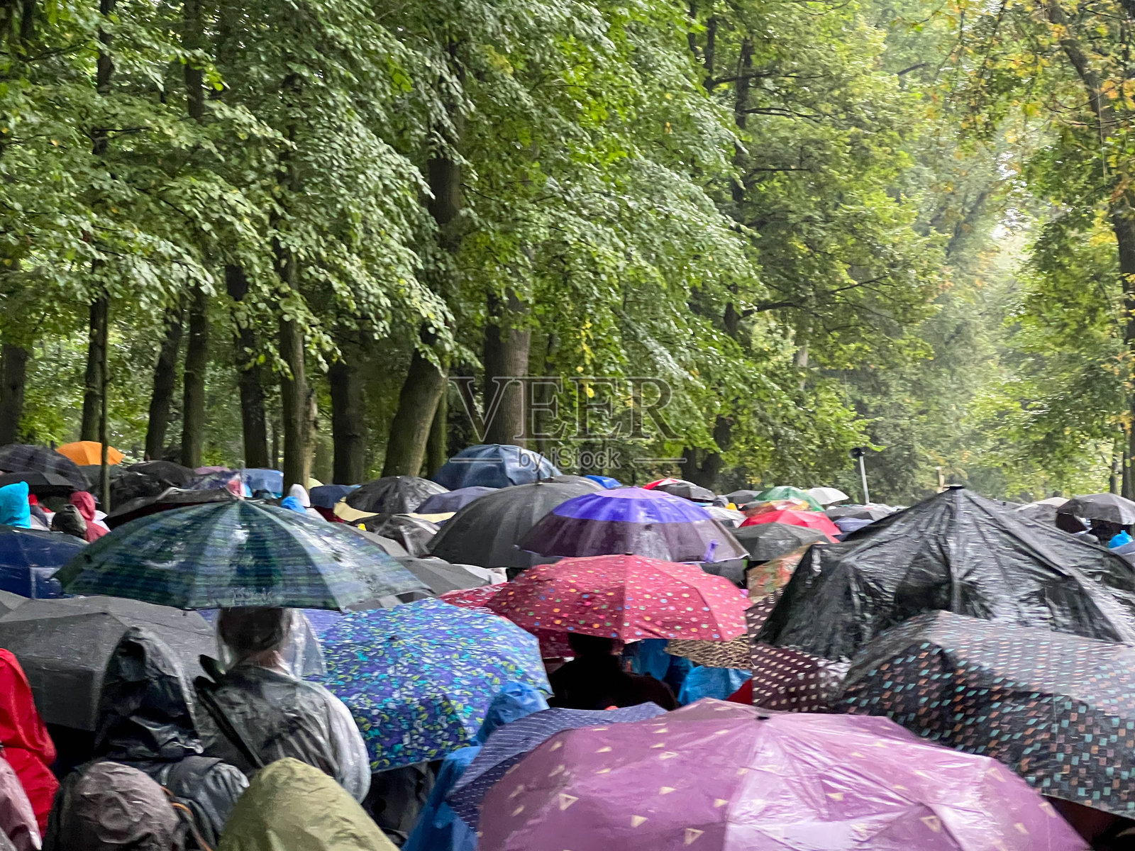 在波兰圣安妮山国际圣安妮圣殿，雨中庆祝圣架庆日。照片摄影图片