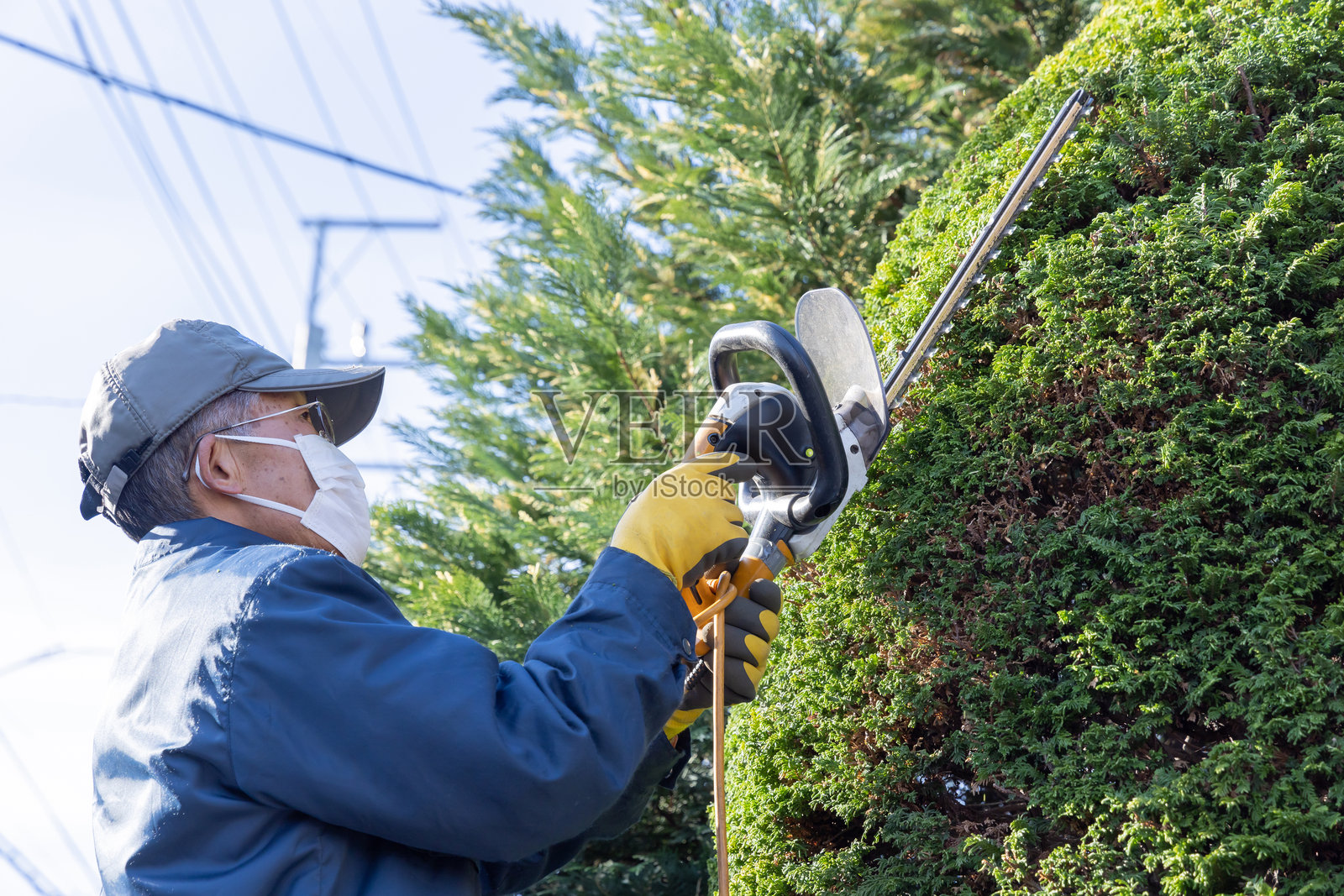 景观设计师照片摄影图片