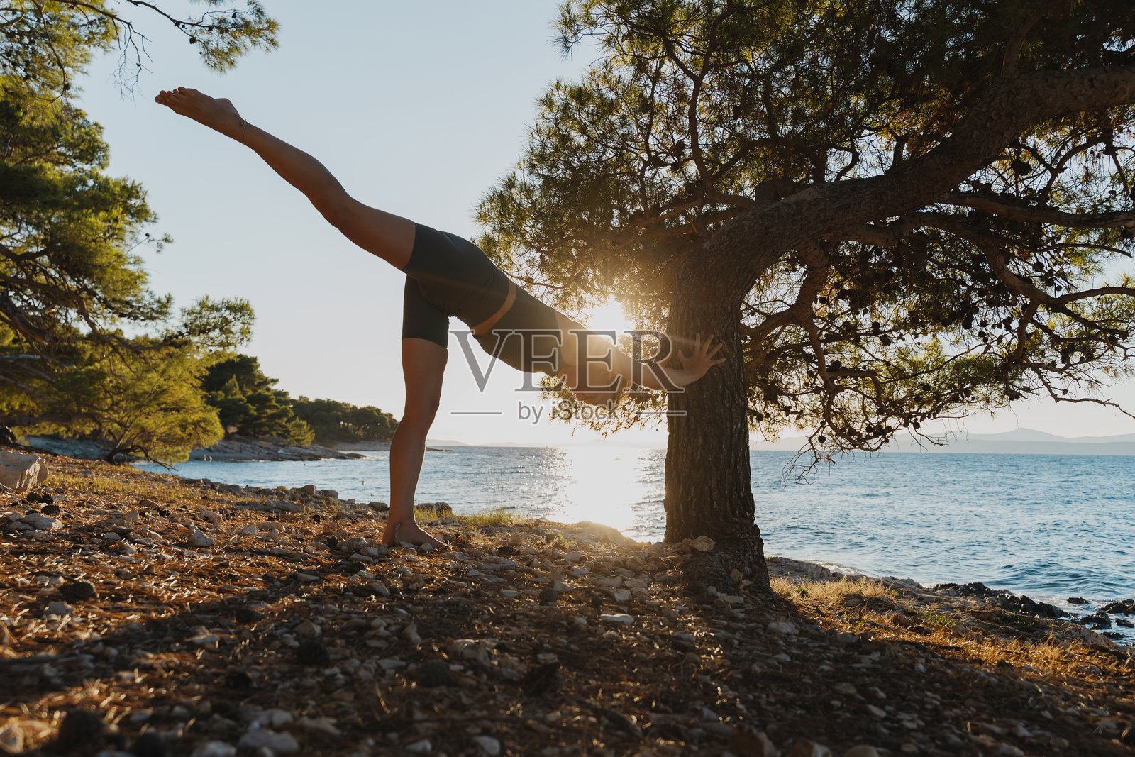 优雅的女性在美丽的海滨自然风光中练习瑜伽。一位女性在海滩的松树林中练习。运动型女性在户外练习力量和伸展的瑜伽体式。照片摄影图片
