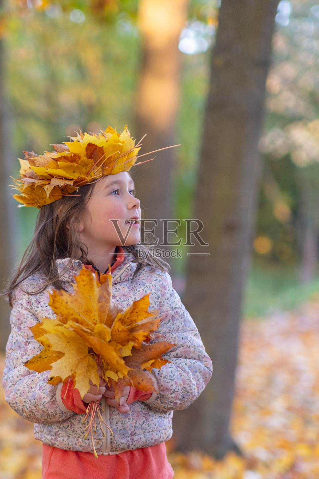 一个漂亮的白种族小女孩穿着秋装，背景是秋景，摆出造型照片摄影图片