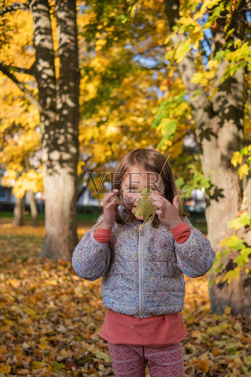 一位漂亮的白种族小女孩穿着秋装，在秋景的衬托下摆出姿势照片摄影图片