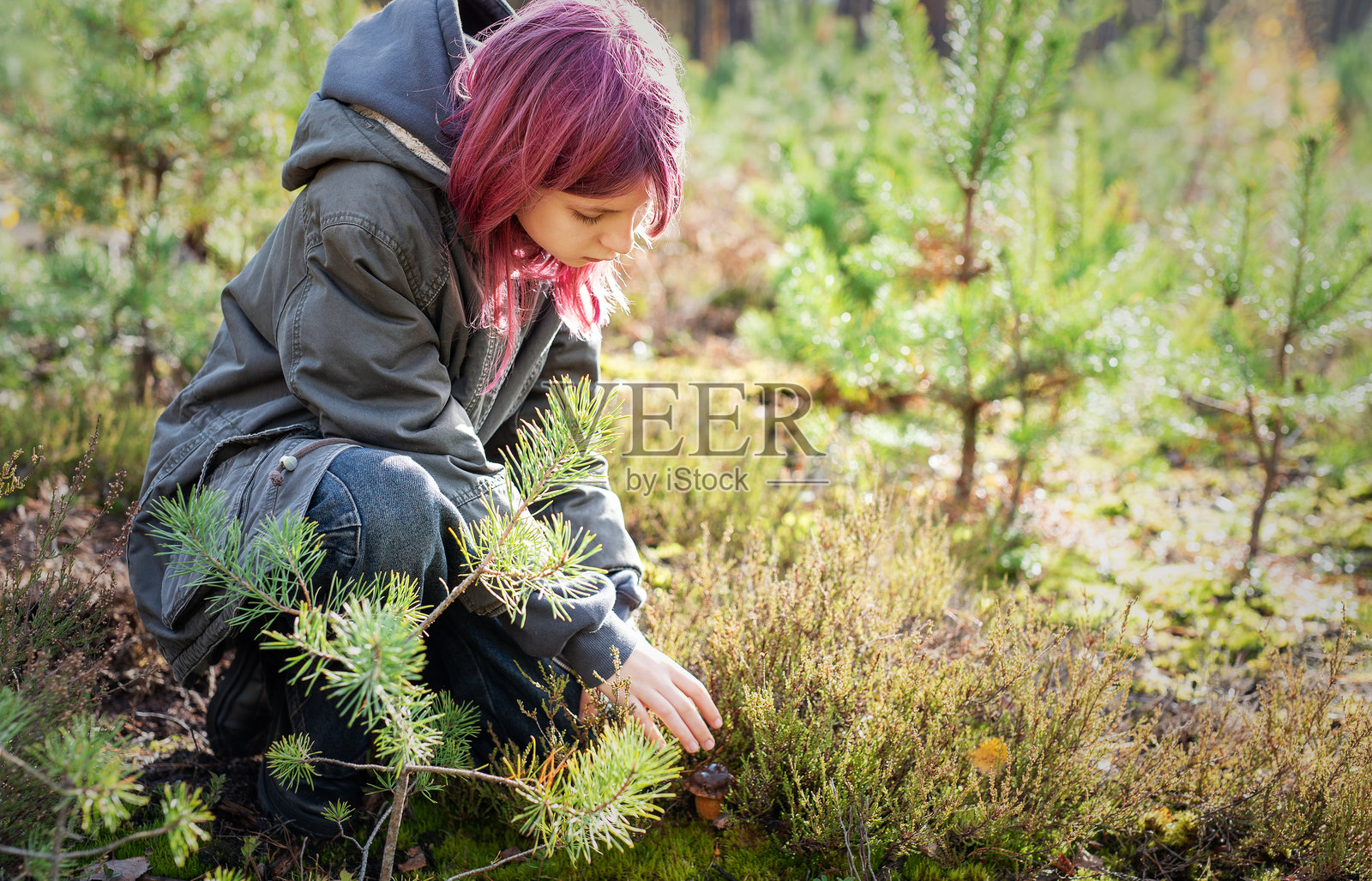 秋季森林中的孩子在采摘蘑菇，探索大自然照片摄影图片