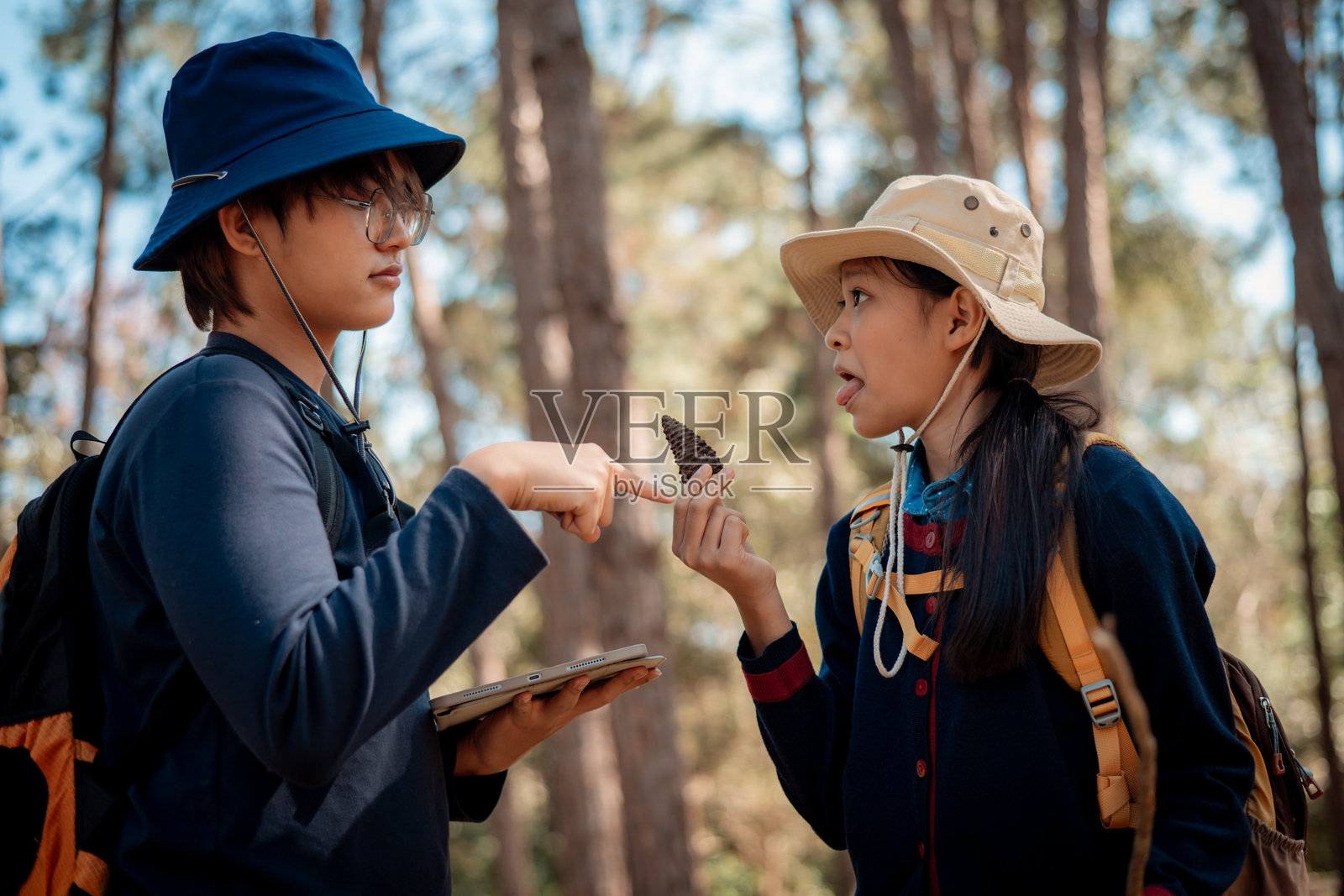 孩子们在户外穿着森林徒步服装，进行自然徒步或户外探险，充满好奇、学习和享受大自然的乐趣。照片摄影图片