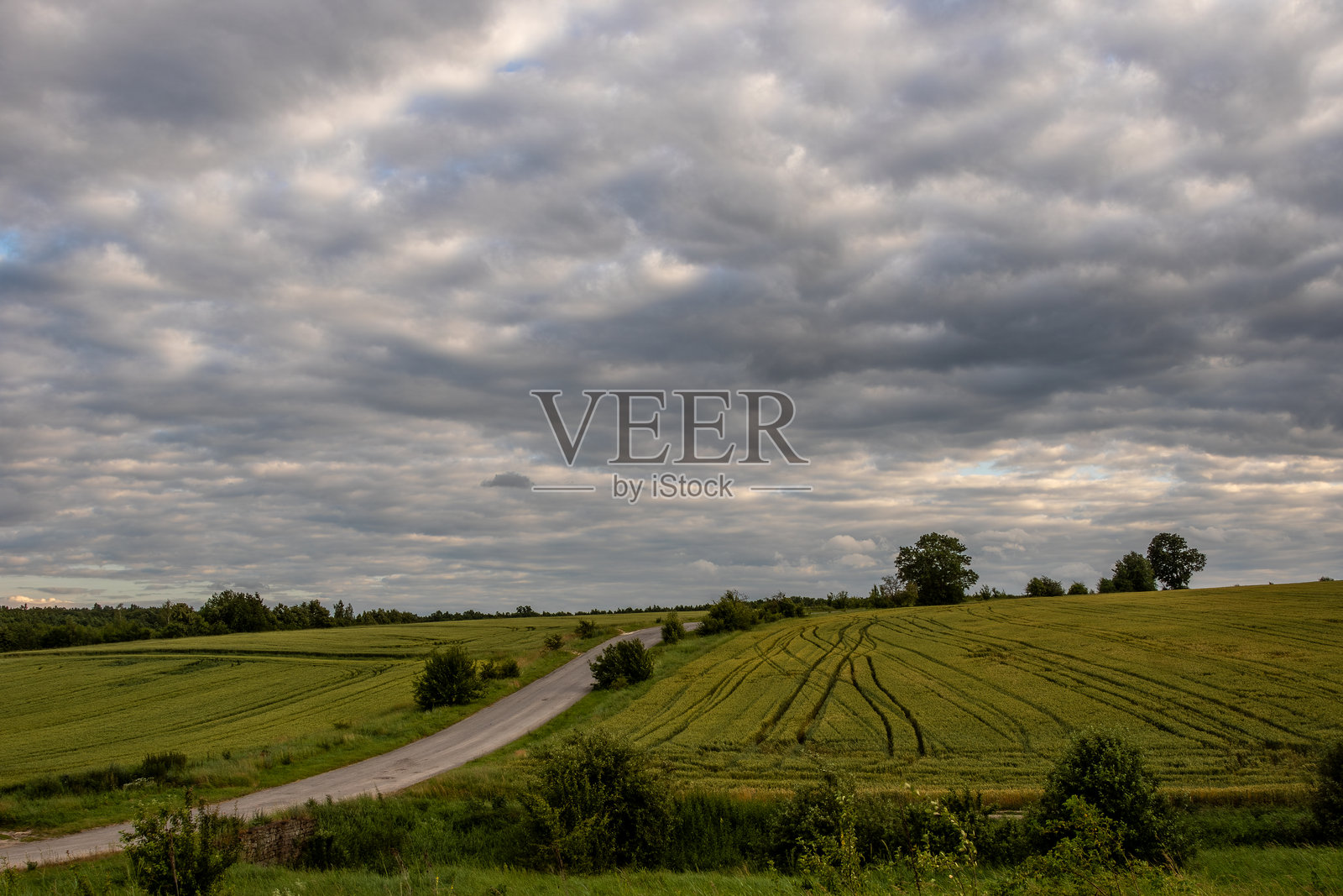 傍晚时分，宁静的乡村景色中，起伏的绿色田野上空乌云密布，一条蜿蜒的土路穿行其间照片摄影图片