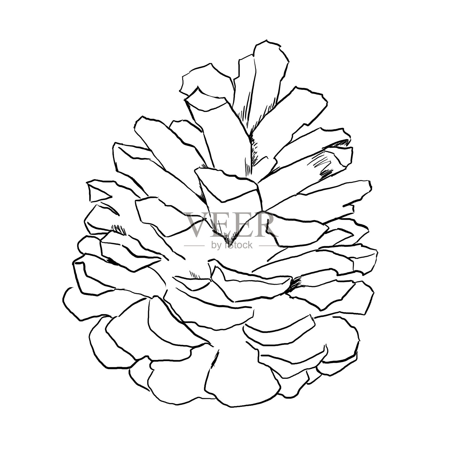 松果的简单线条插画插画图片素材