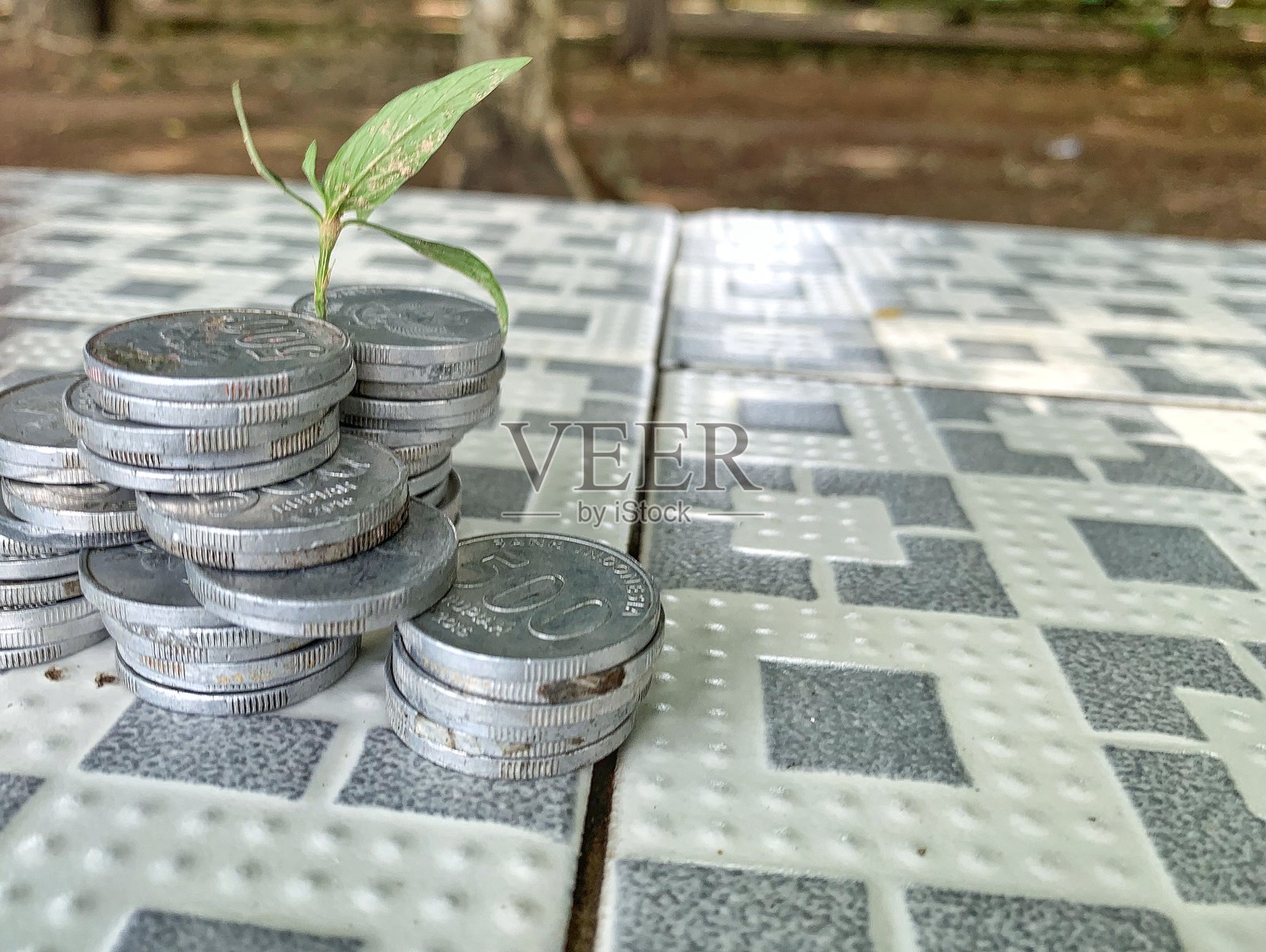 金钱孕育未来绿色增长照片摄影图片