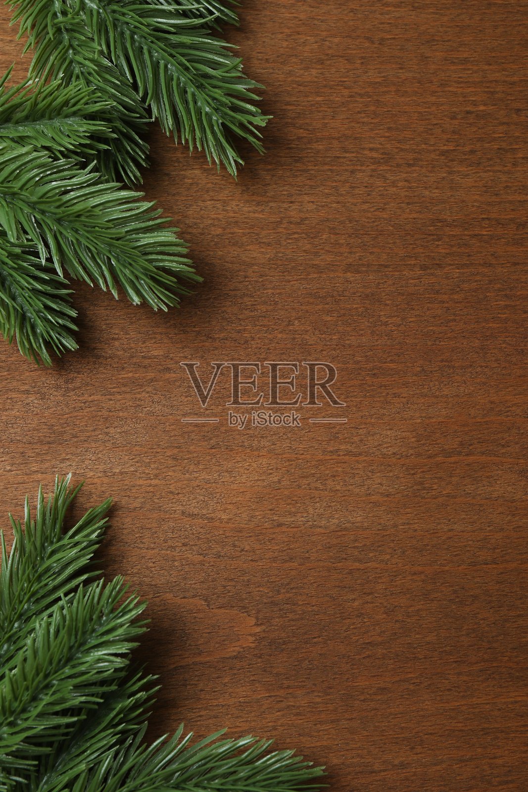 节日背景，带有松枝。圣诞快乐海报设计，新年快乐照片摄影图片