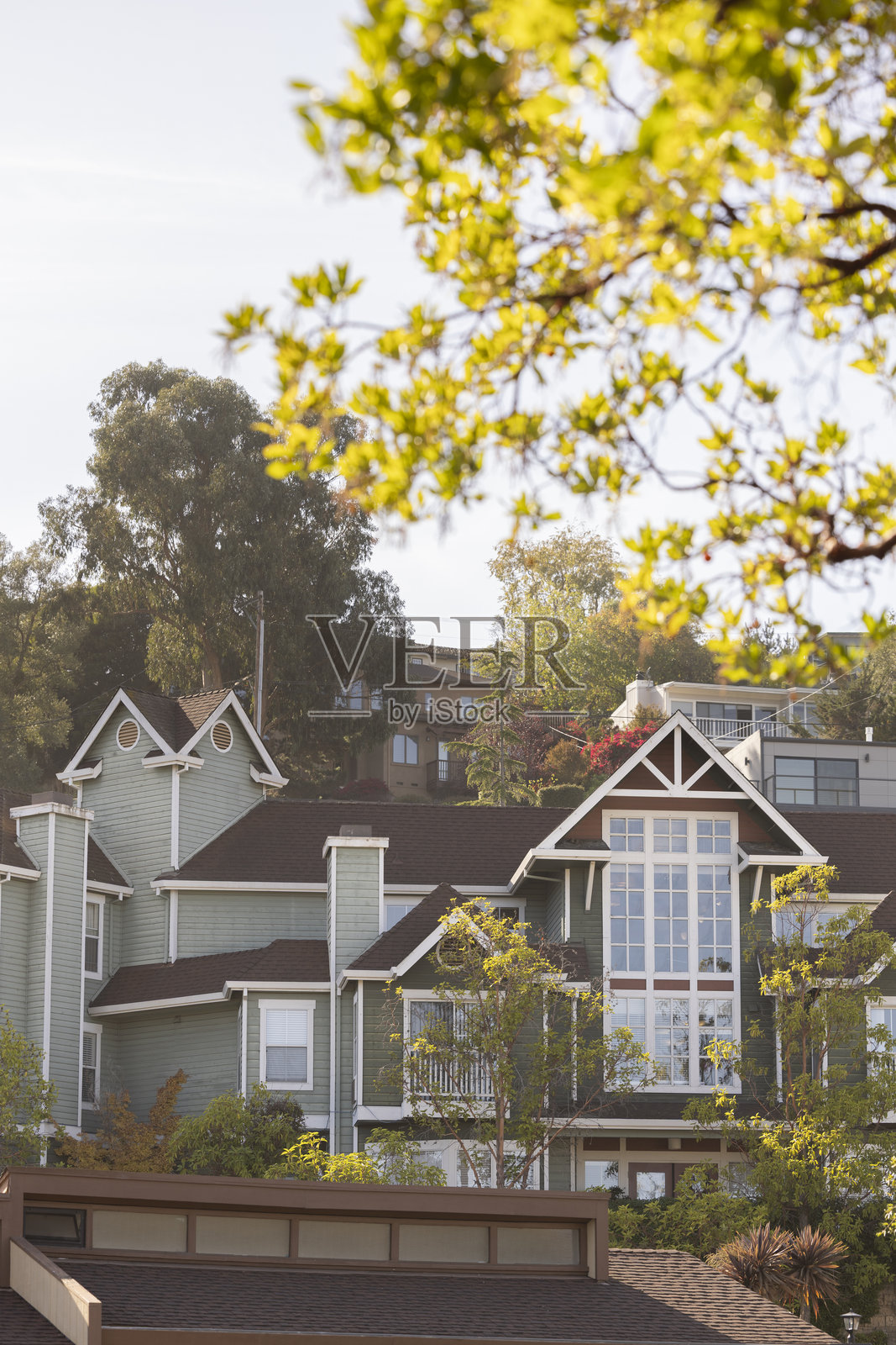 美国加利福尼亚州贝尔蒙特社区照片摄影图片