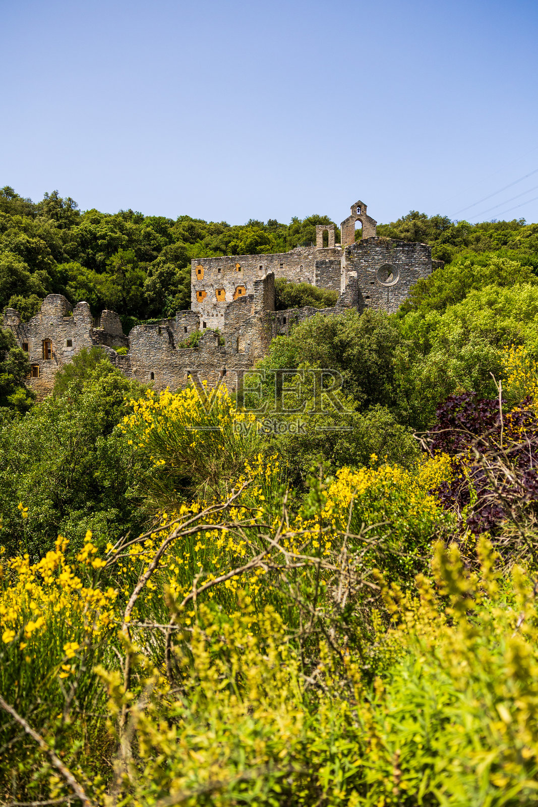 圣卡塔琳娜植物园中心的修道院遗址照片摄影图片