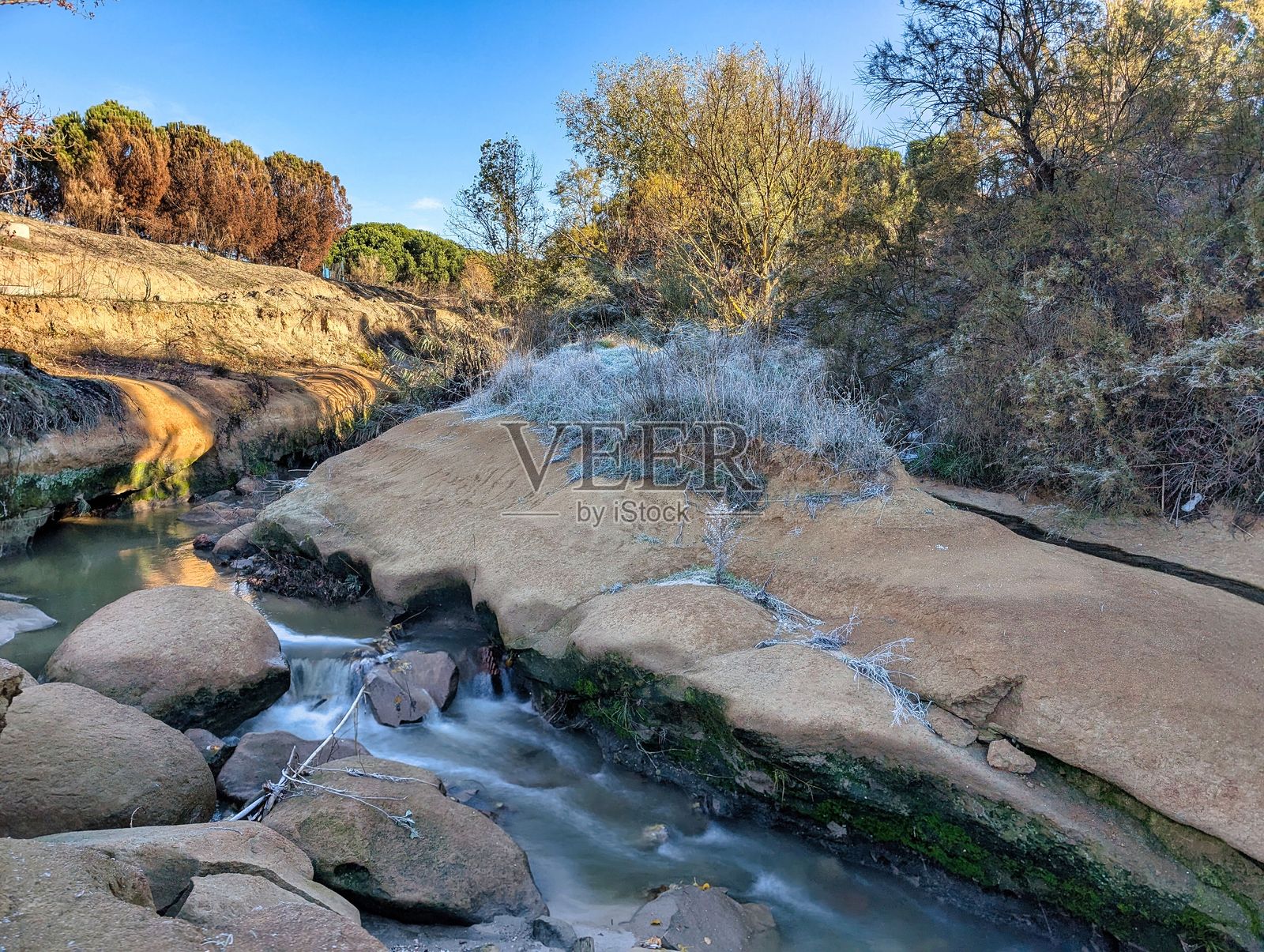 清晨的柔和光线下，宁静的溪流在光滑的岩石上缓缓流淌，置身于静谧的自然风光之中。照片摄影图片