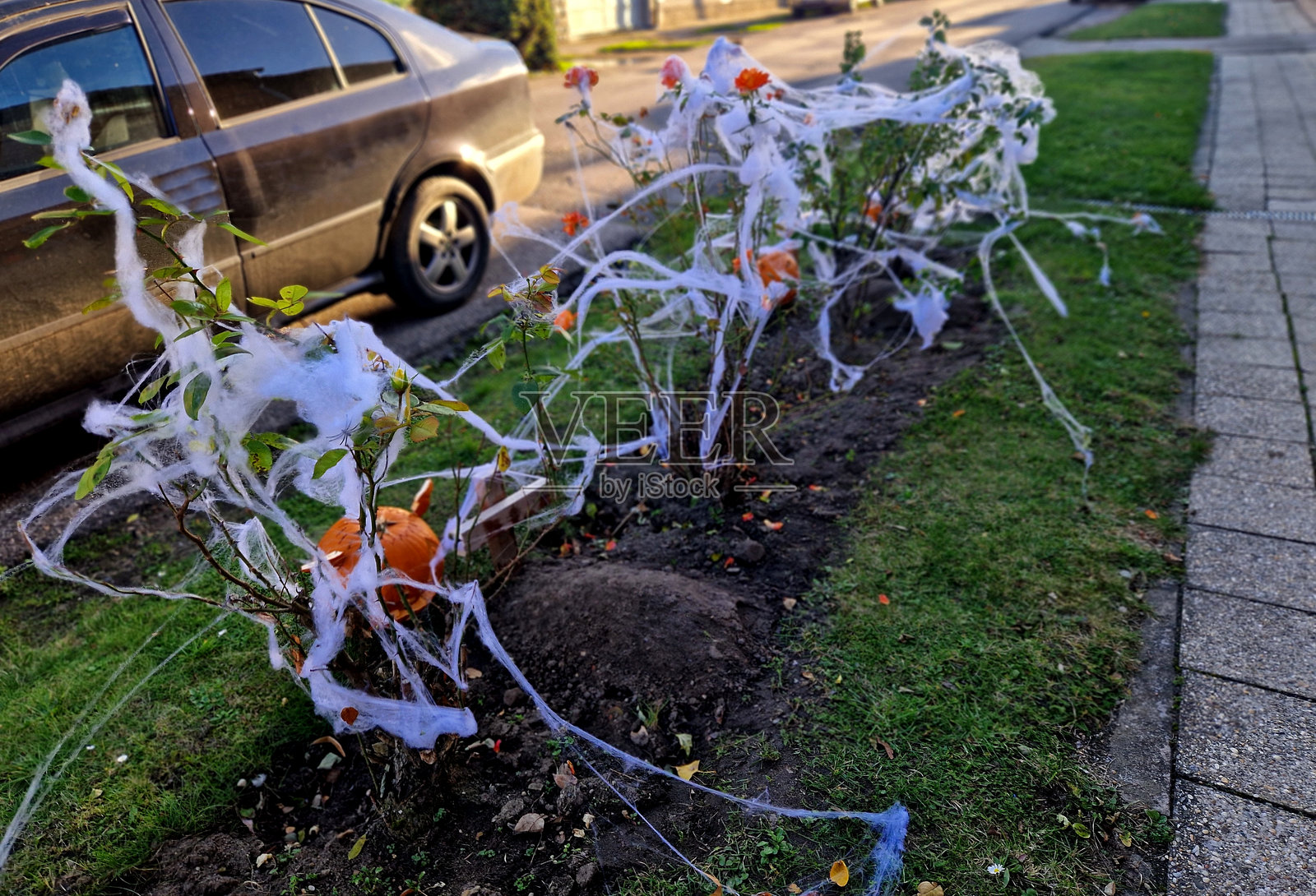房子前面有一个恐怖的花坛，里面有坟墓和十字架，上面覆盖着喷漆的蜘蛛网。在旁边的灌木丛和花园里，人行道上，砖墙上营造出逼真的效果，适合儿童。照片摄影图片