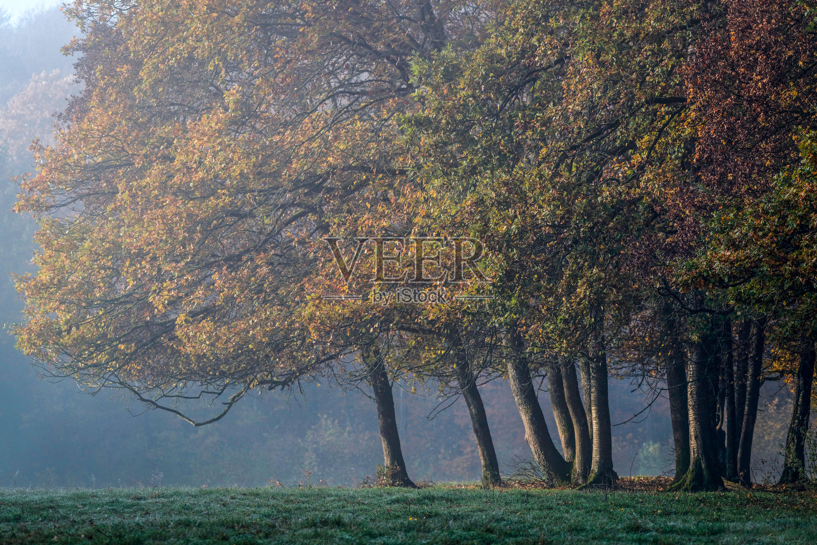 秋季风景照片摄影图片