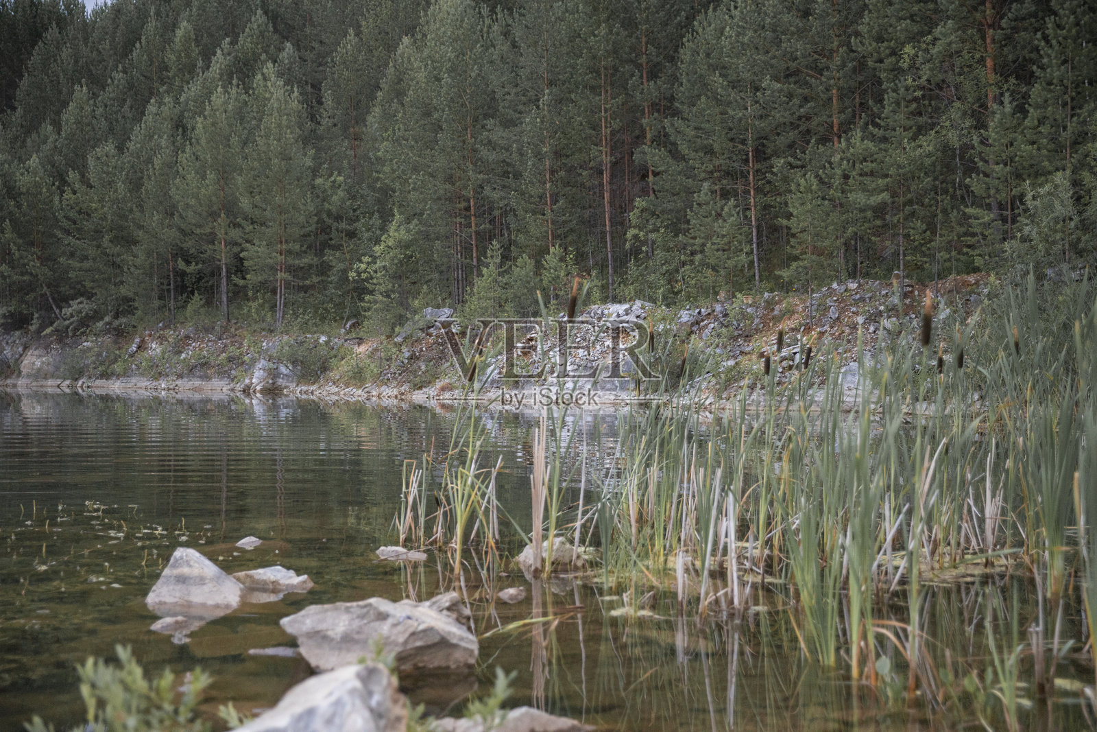 黄昏时分湖畔的自然风光照片摄影图片