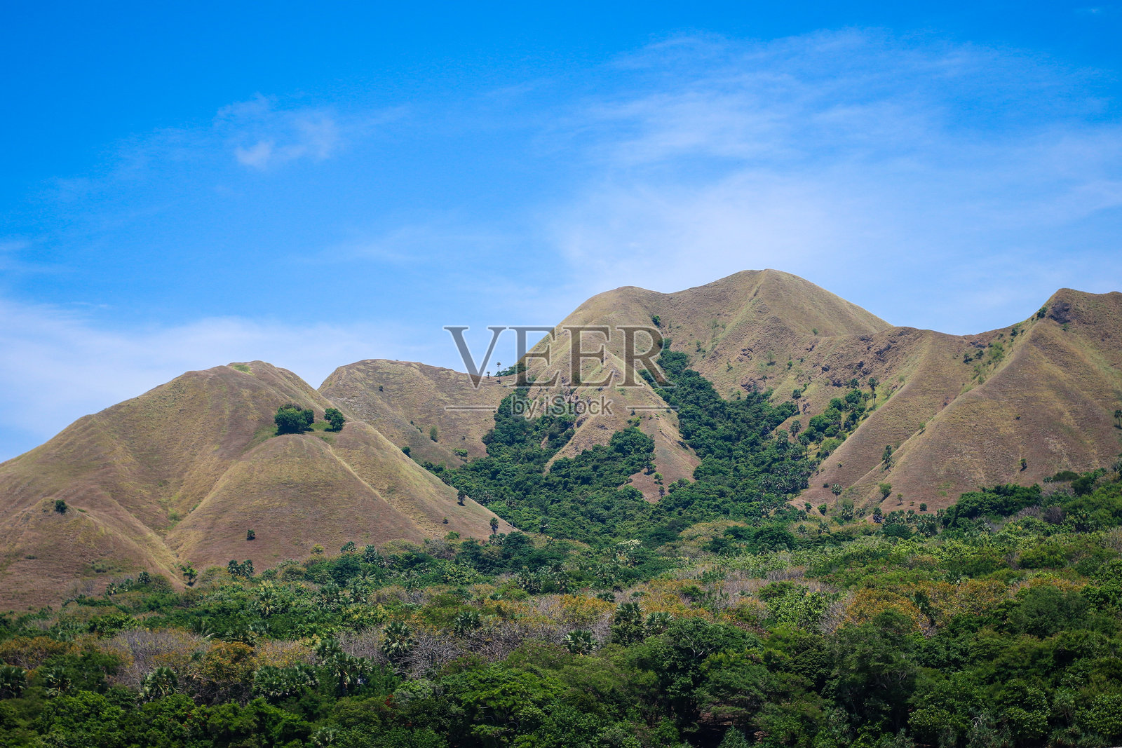 干旱岛屿与美丽的草原照片摄影图片