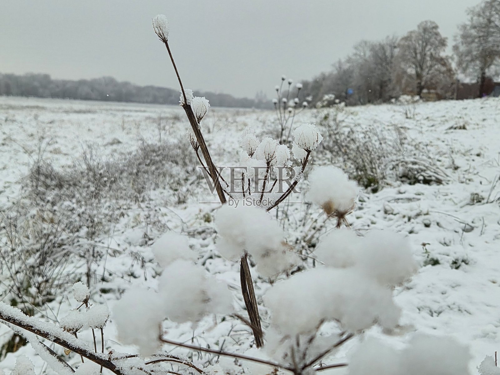 克拉科夫的冬季全景。照片摄影图片