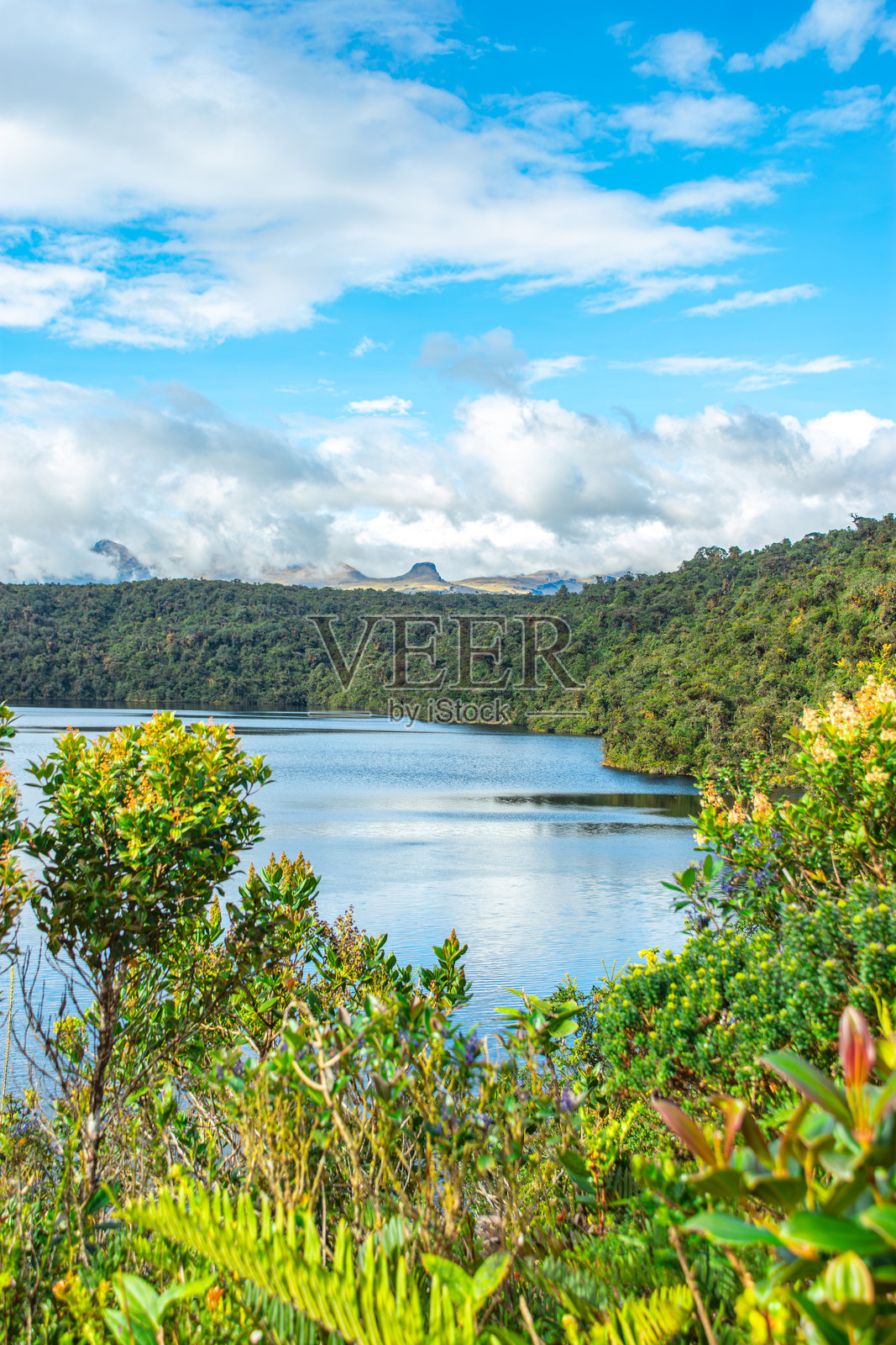 普拉塞布耶泻湖的风景照片摄影图片