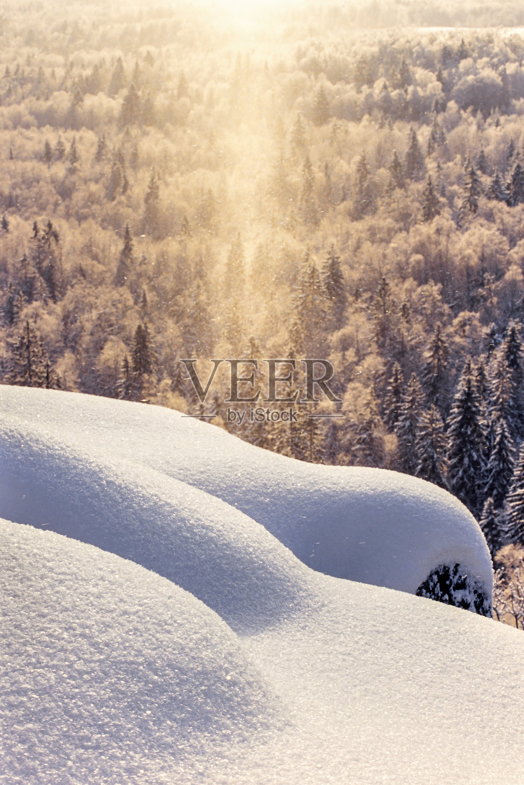 冬季的森林和雪堆上的太阳黑子照片摄影图片