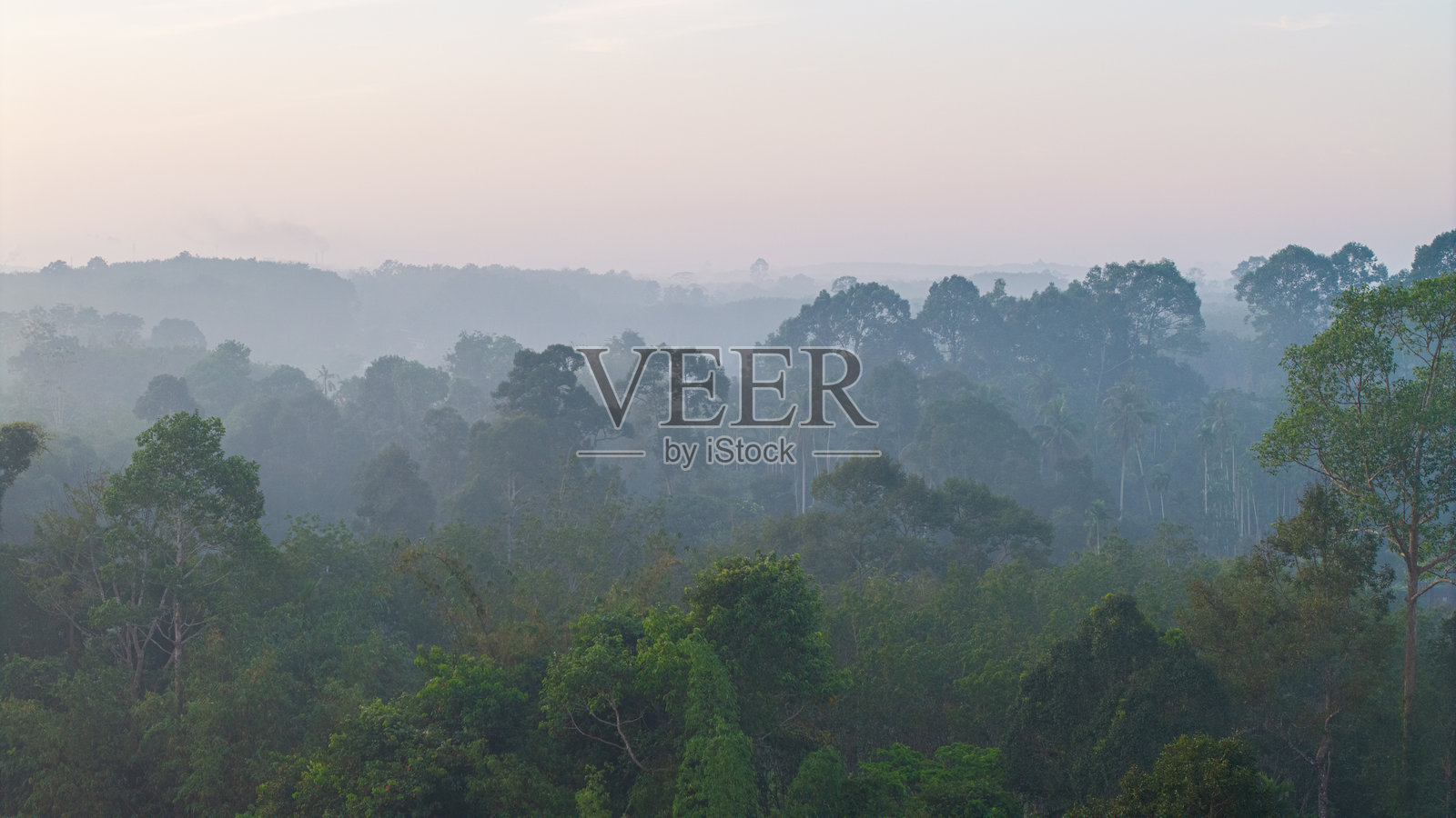 清晨的雨林上空，热带雨林绿意盎然，晨雾弥漫照片摄影图片