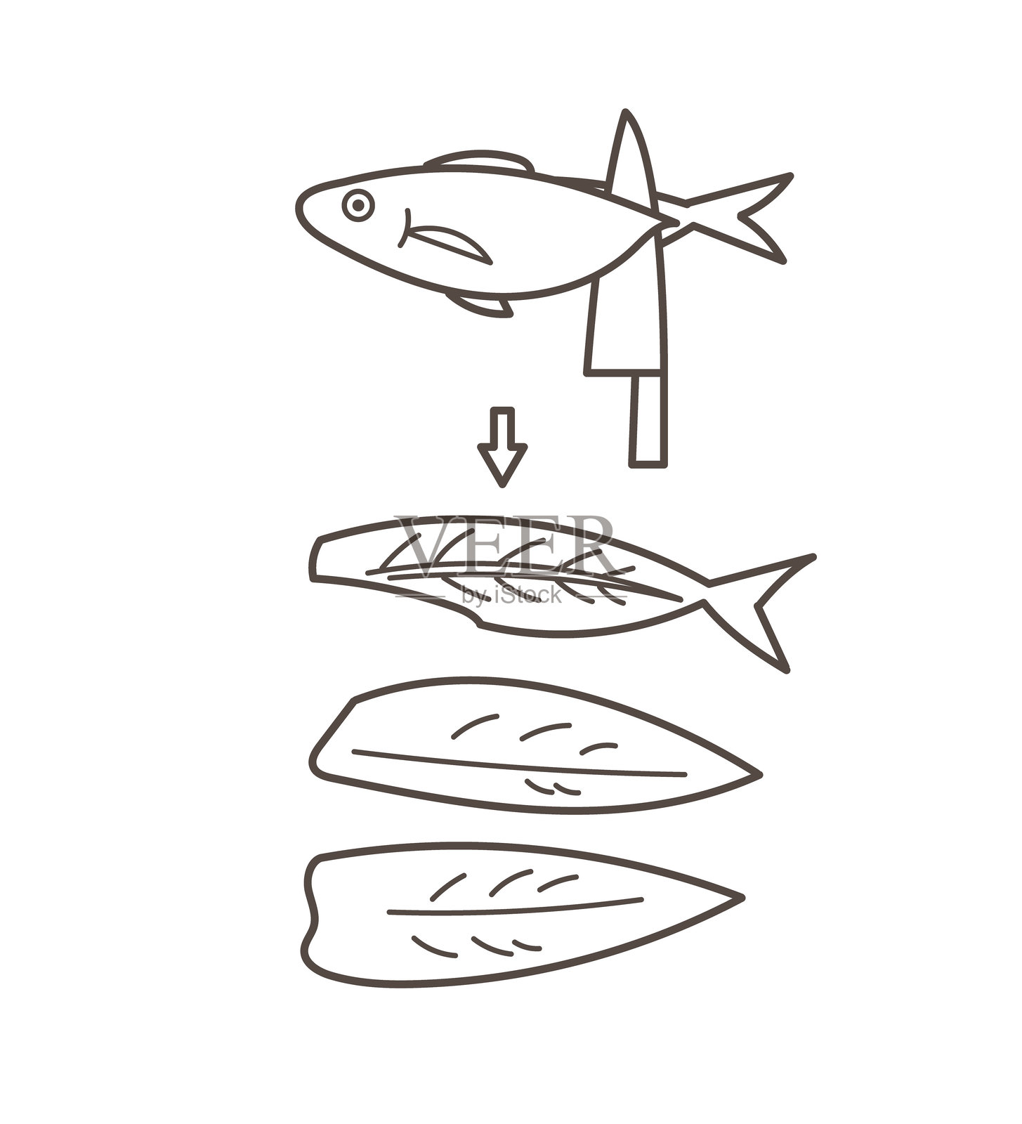 鱼片被切成三块的插画，线条画。插画图片素材