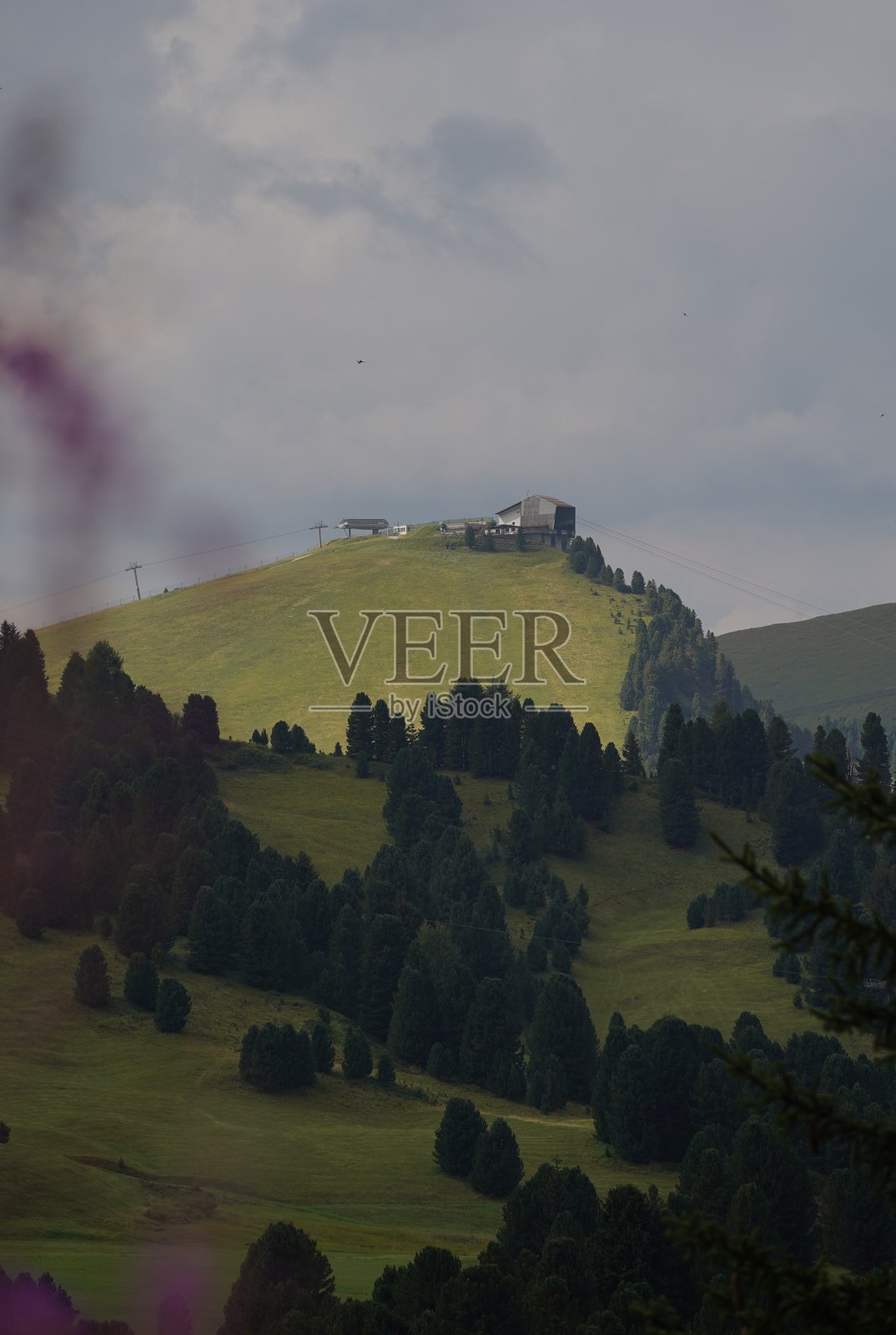 多洛米蒂草甸照片摄影图片