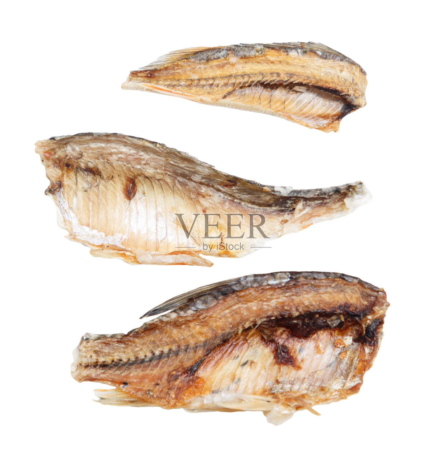 三片鱼鳍并排展示照片摄影图片