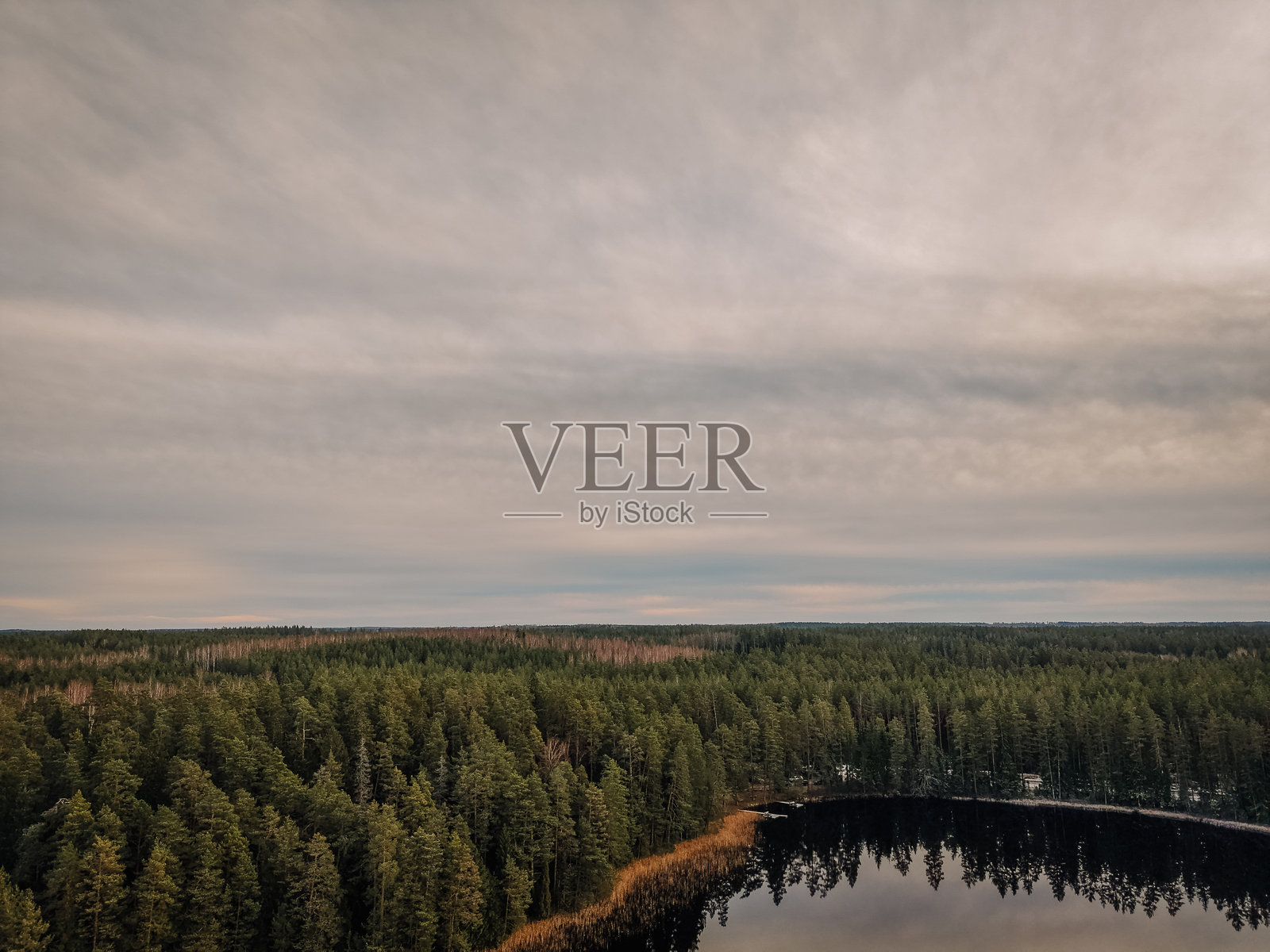 宁静森林的空中俯瞰图，湖面平静地倒映着多云的天空，展现了大自然的美丽与平和的荒野环境照片摄影图片