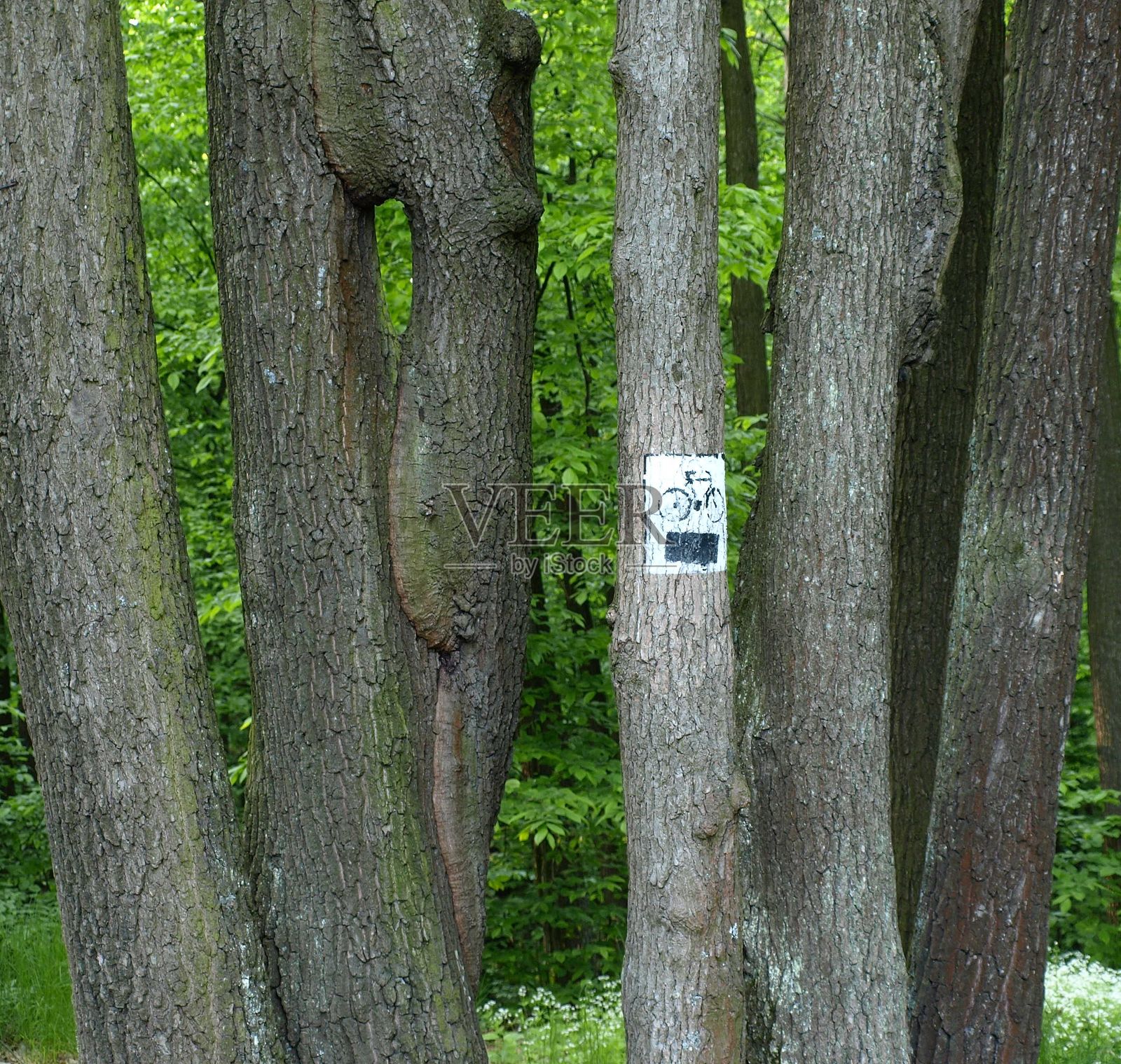 自行车道标志照片摄影图片