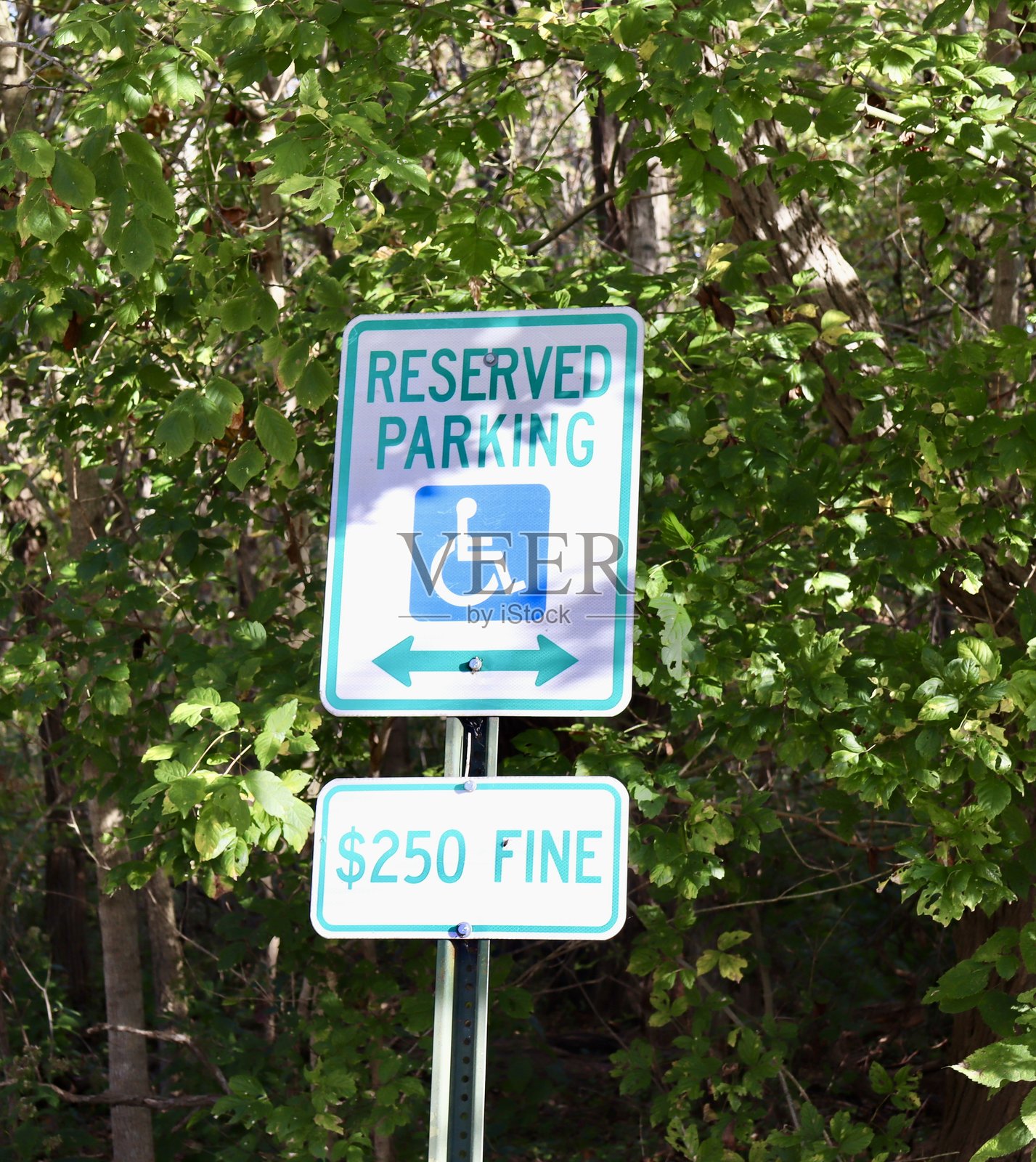 残疾人标志照片摄影图片