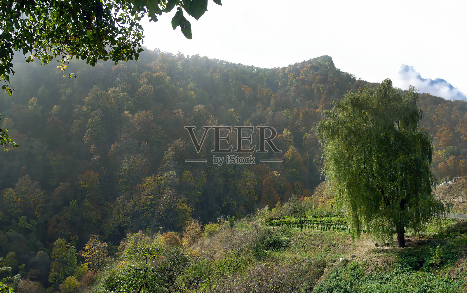 壮丽的山脉和绿色山谷全景，捕捉了原始自然的美丽和戏剧性的景观，非常适合探险旅行照片摄影图片